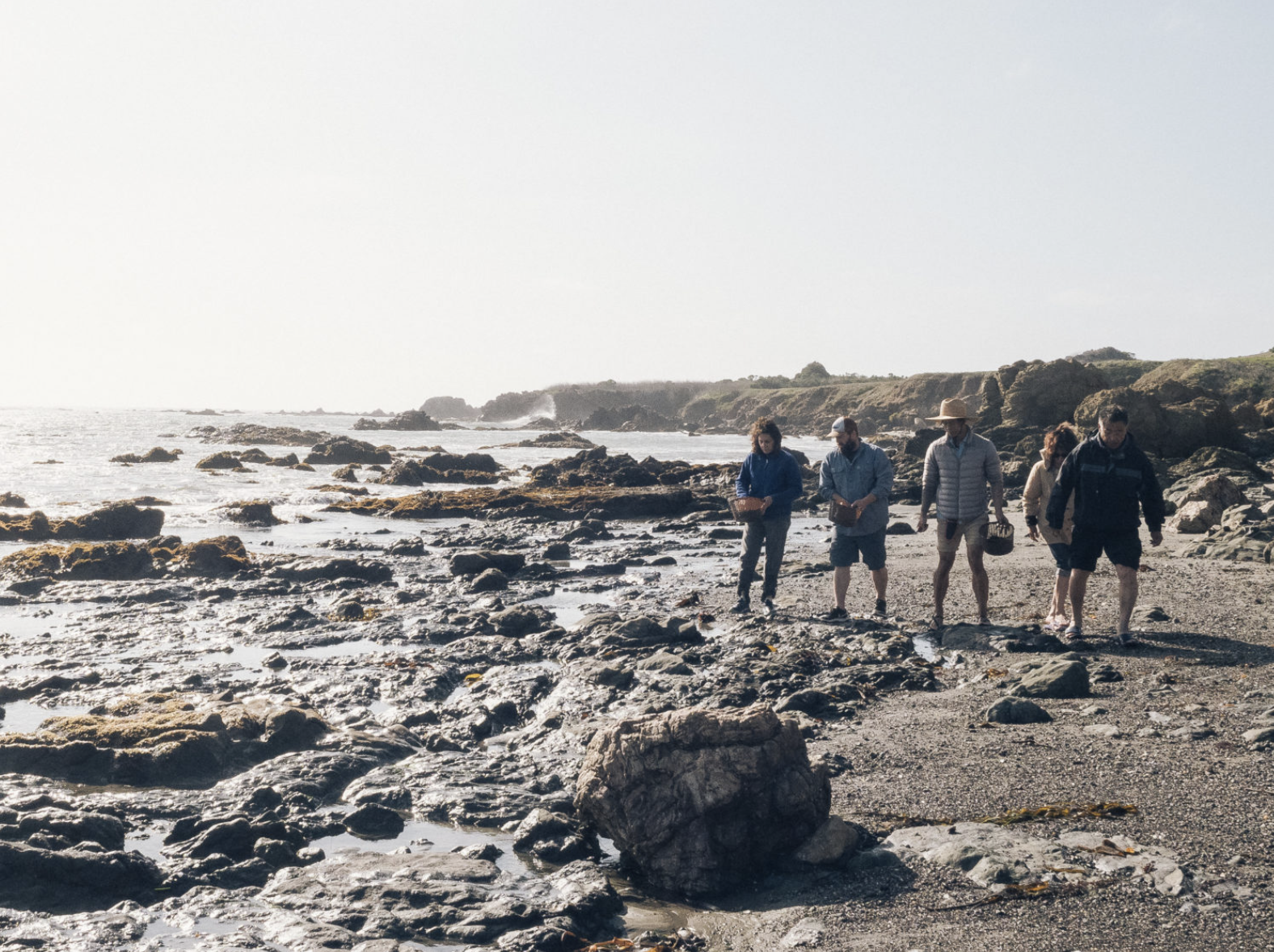 Marley Family Seaweeds