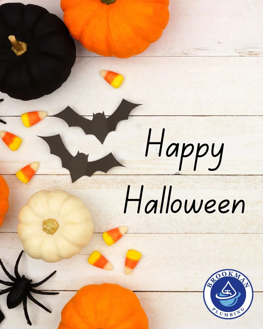 Wishing you a fun, safe, and clog-free Halloween! 🎃💧

From all of us at Brookman Plumbing &mdash; have a spooktacular night! 👻

#HappyHalloween #BrookmanPlumbing #AnneArundelCounty #LocalPlumber