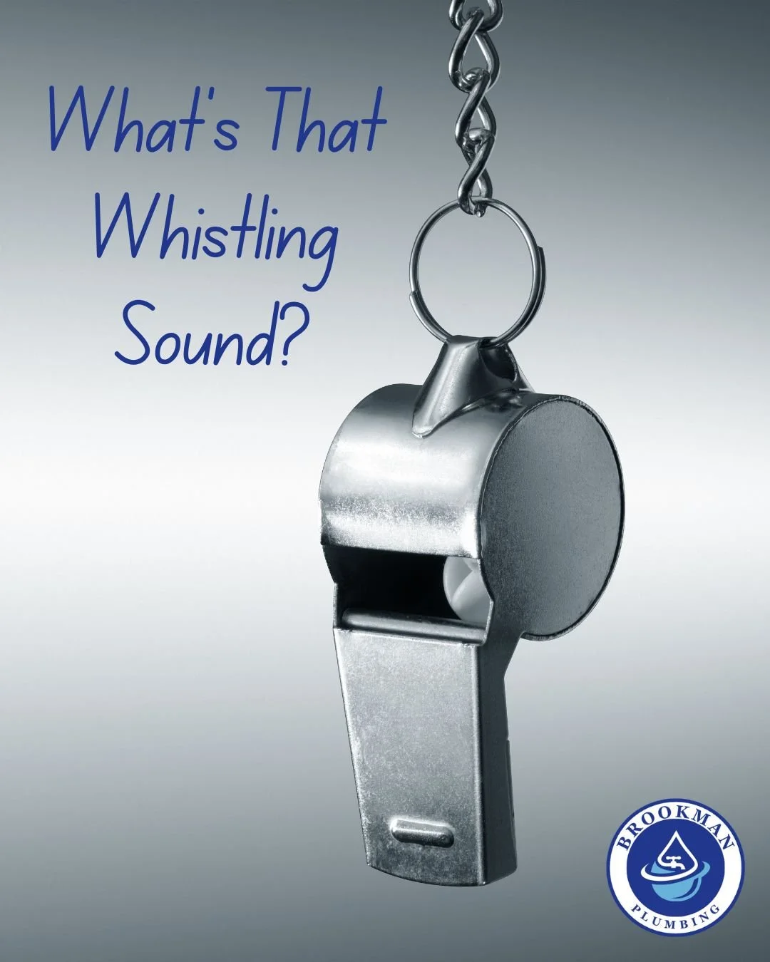 Do you hear a high-pitched whistle when you turn on the water? That sound isn&rsquo;t just annoying. It&rsquo;s your plumbing sending a warning. 🚨

What could be causing it?
&bull; Worn-out washers
&bull; Loose or faulty valves
&bull; Water pressure