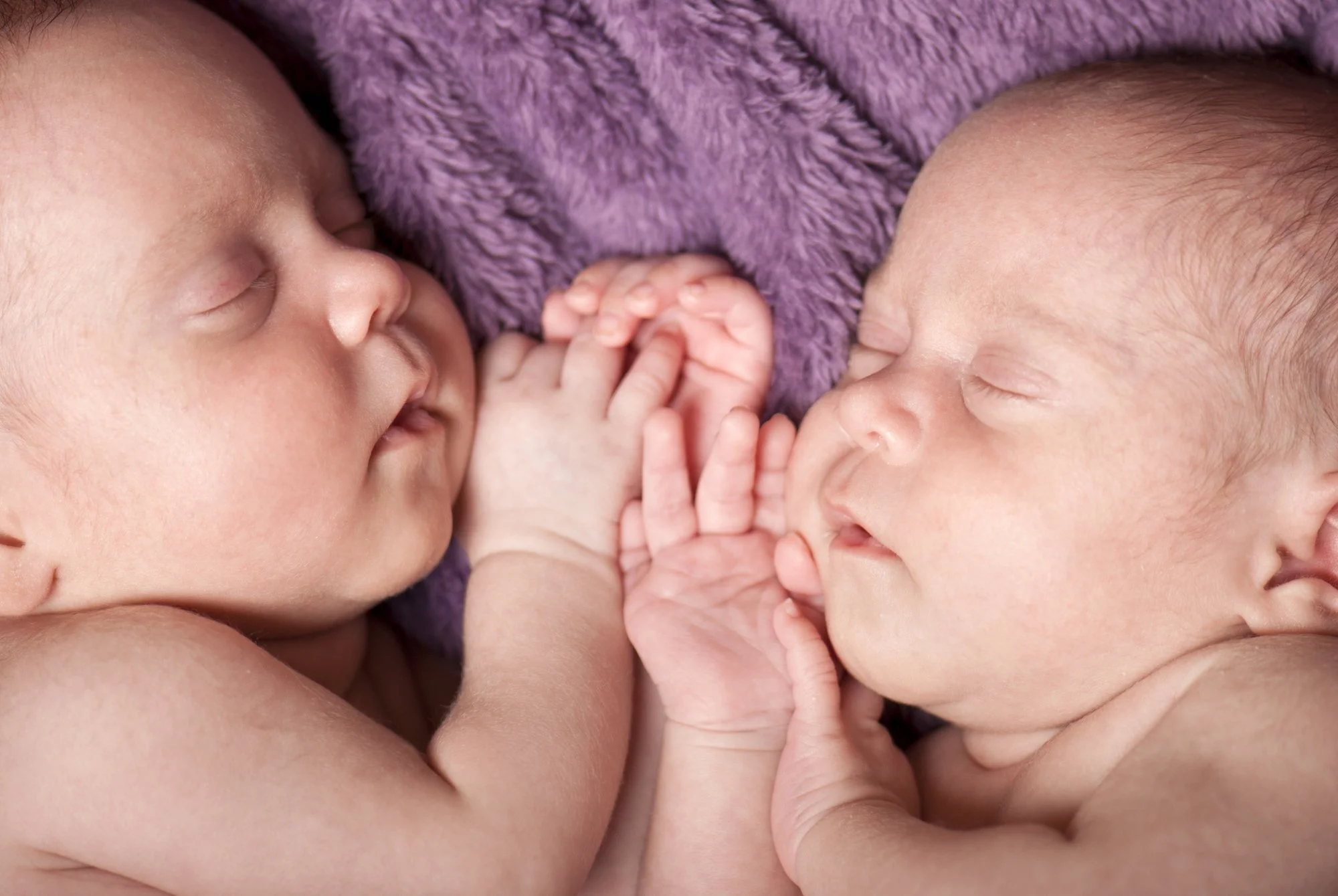 Two newborn babies with closed eyes lying close together on a soft purple blanket, touching each other's faces and hands.