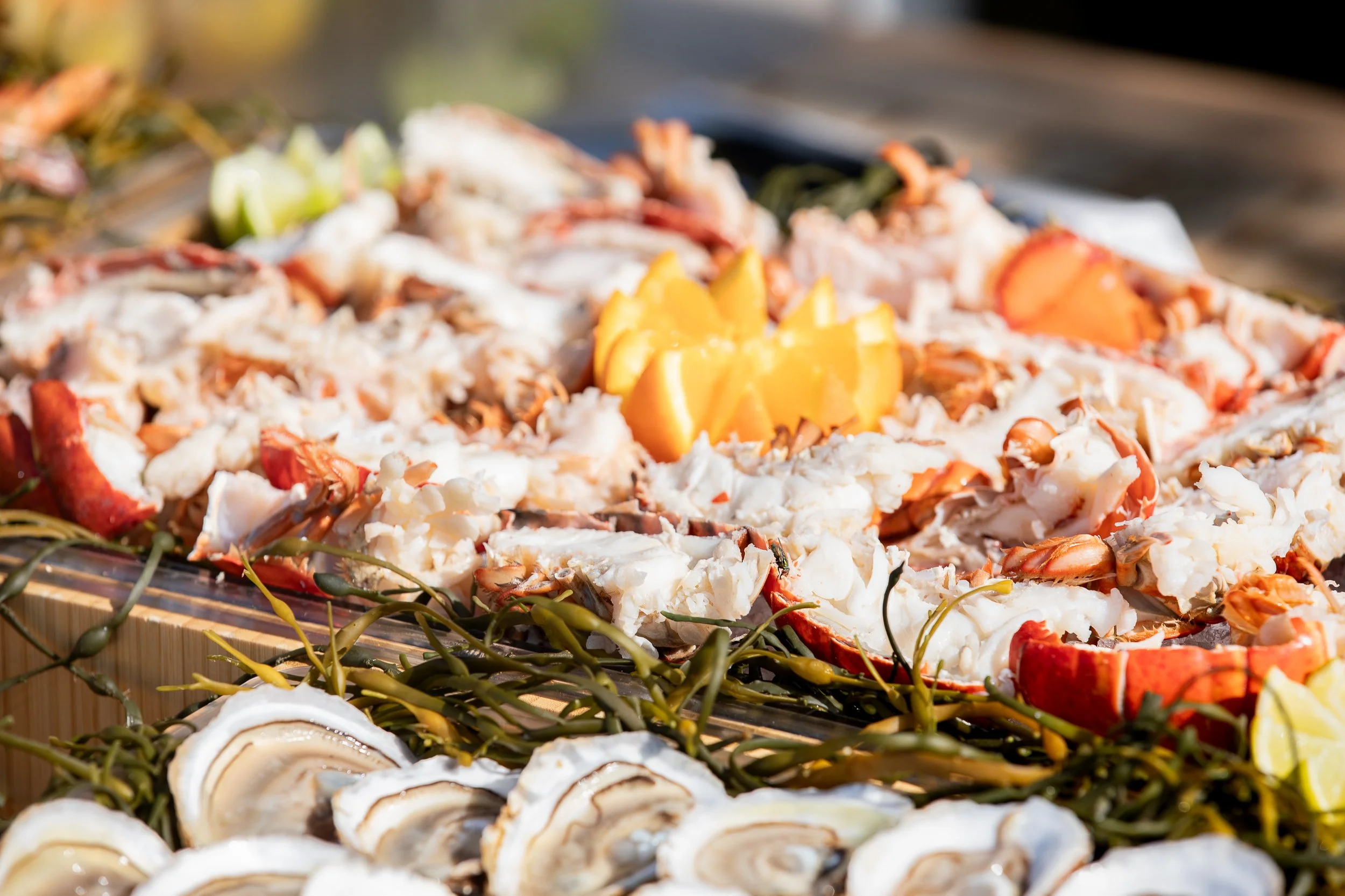 Copy of Raw Bar_Paul Brooke photography.jpg