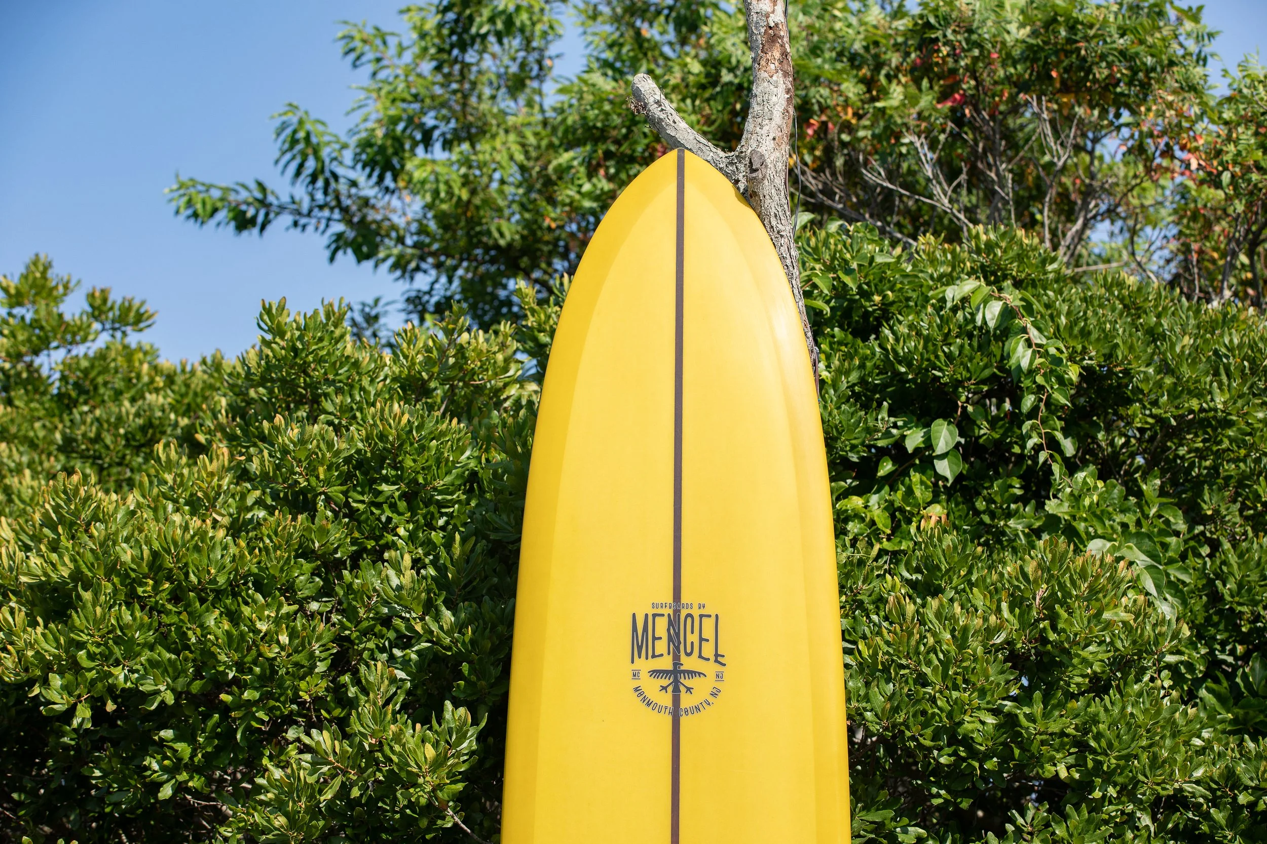 Copy of Pilgrim Surf Supply x Charles Mencel surfboard_Paul Brooke photography.jpg