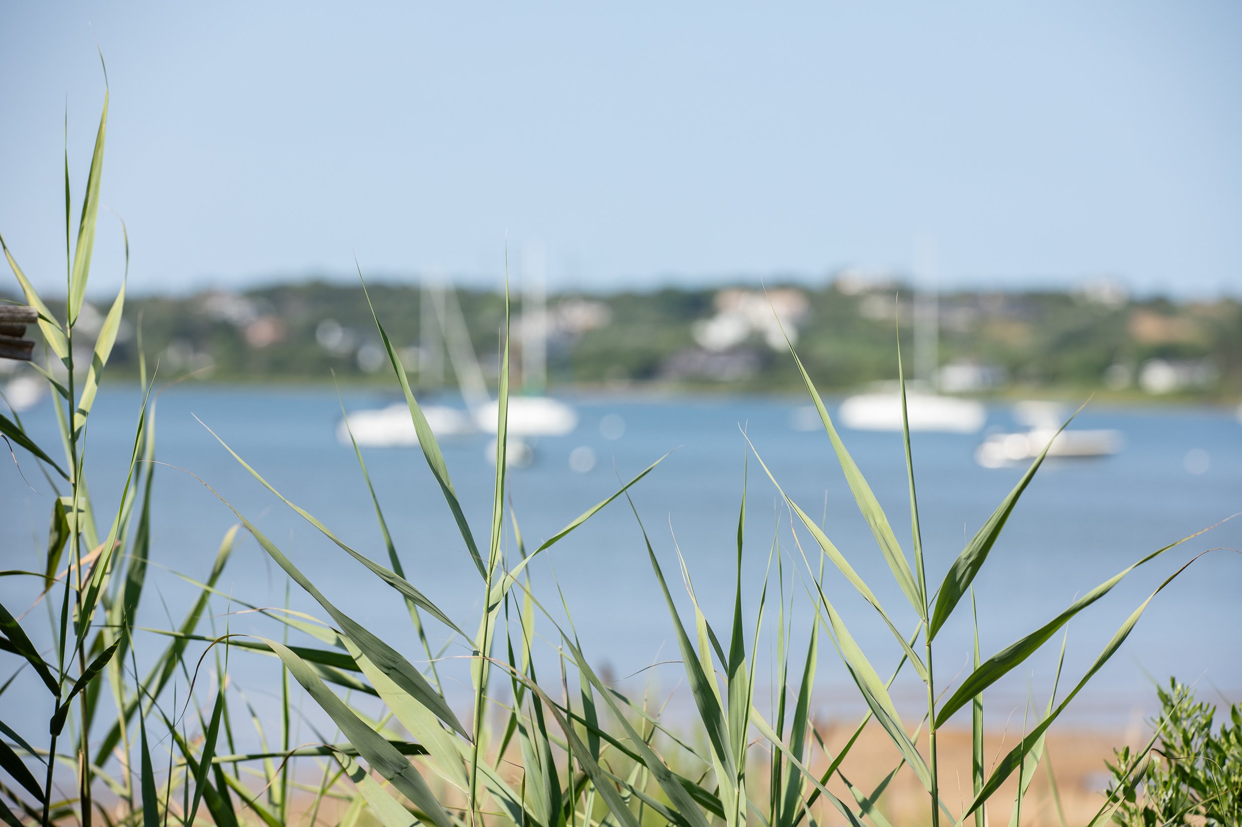 Copy of Lake Montauk_Paul Brooke photography (11).jpg
