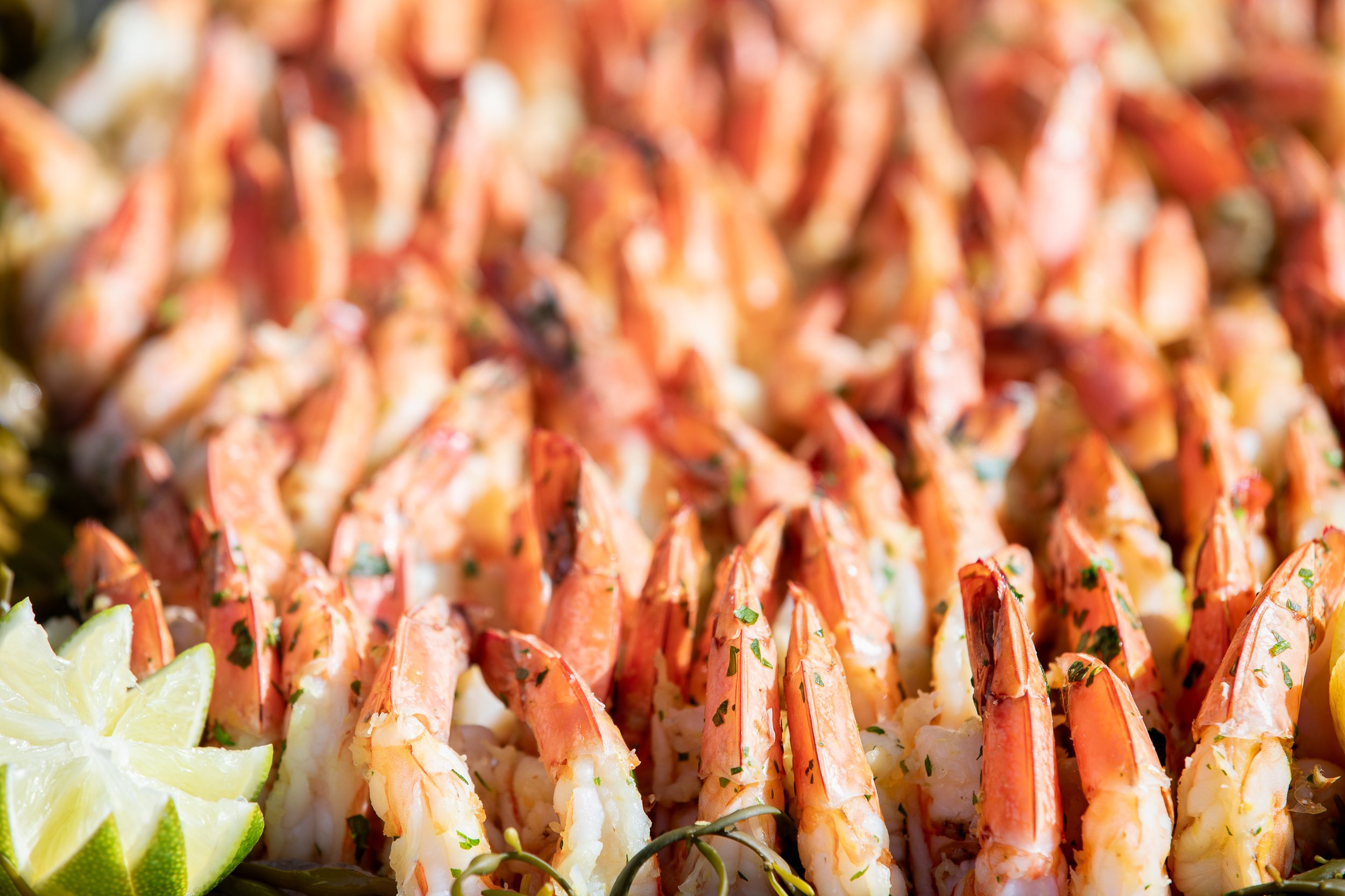 Copy of Raw Bar_Paul Brooke photography (2).jpg