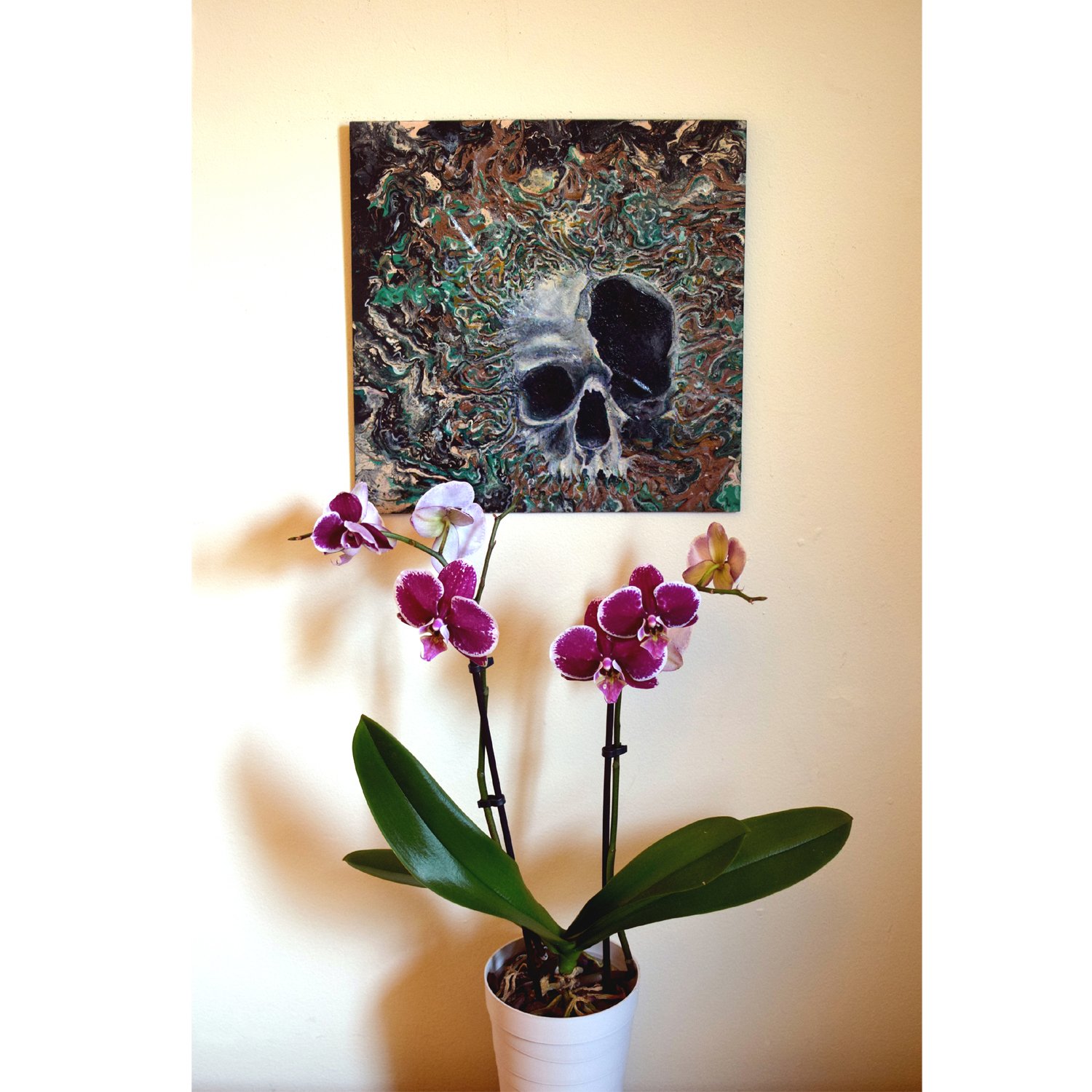 Skull.jpg