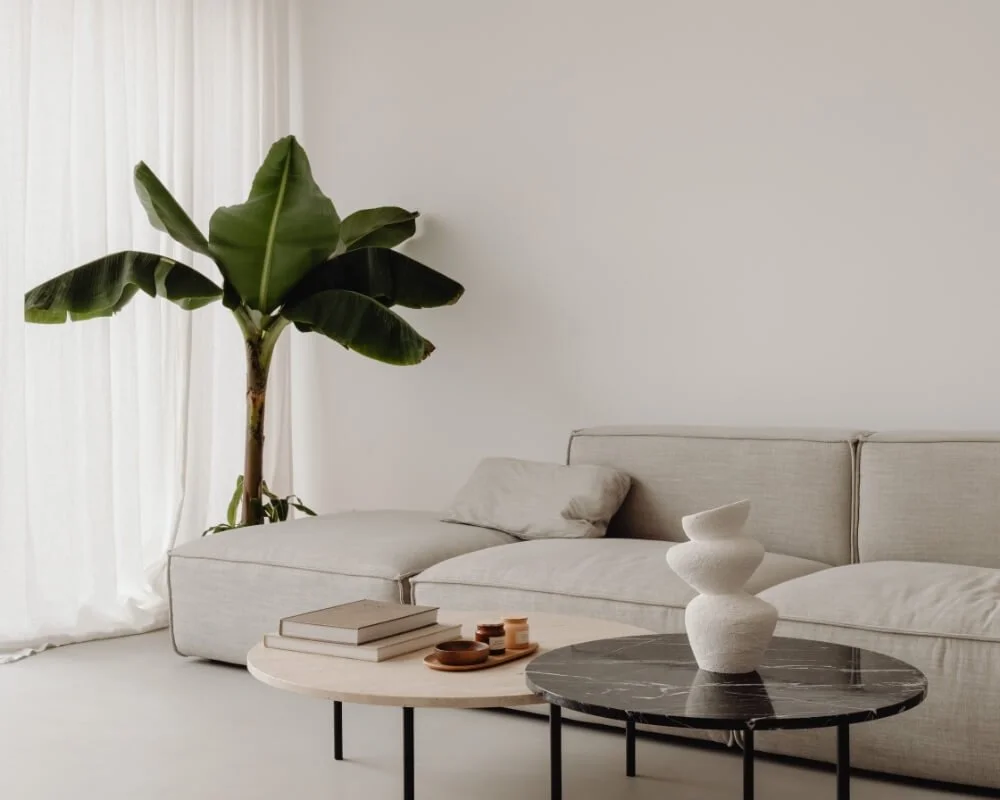 Salon minimaliste.jpg