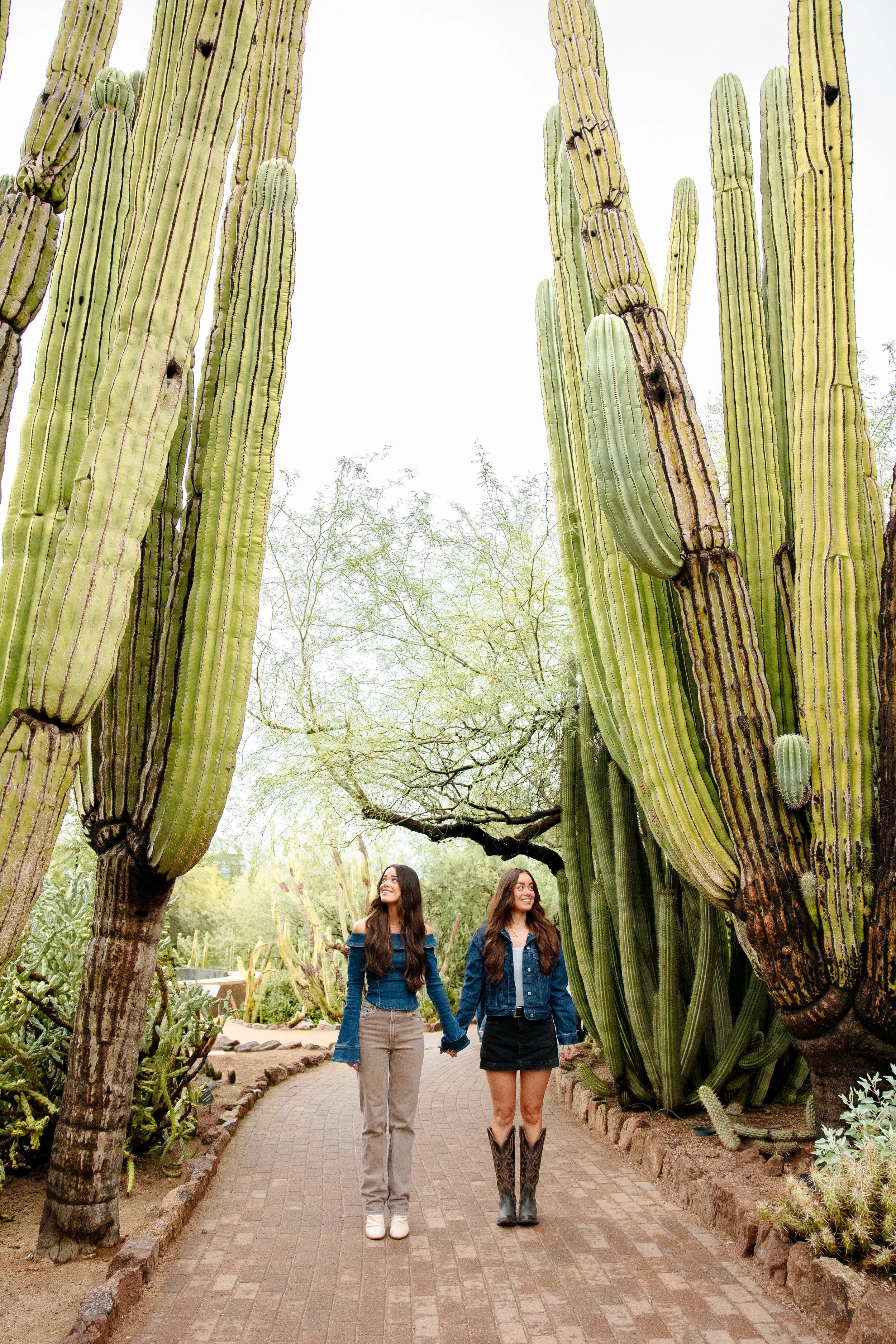 Why Professional Photography in Scottsdale Is Worth the Investment