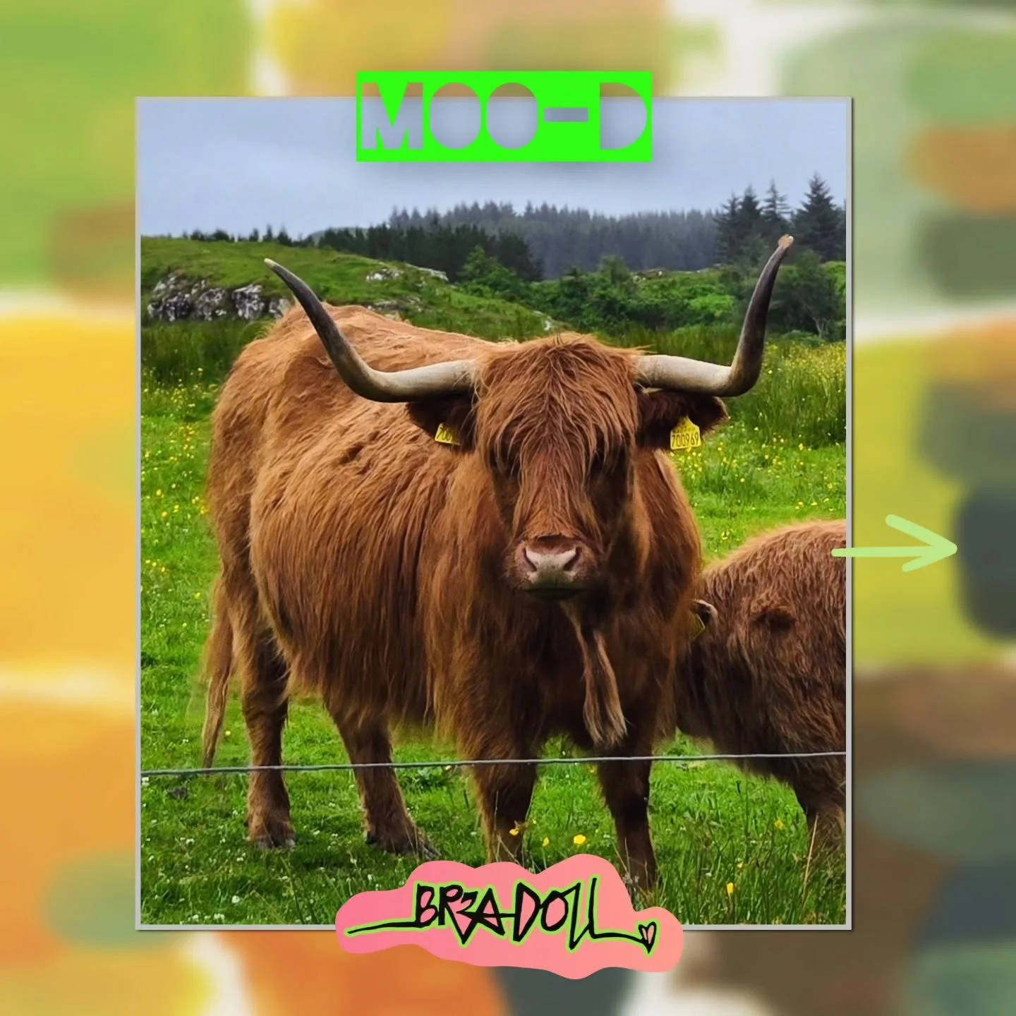 🐮 NEW: Scotland Mini Moodboards ☘️

During my self-directed artist residency across Mull, Staffa &amp; the Hebrides, I began collecting the colours, textures and micro-moments of each day.

Now they&rsquo;re bundled into four digital Mini Moods- cre