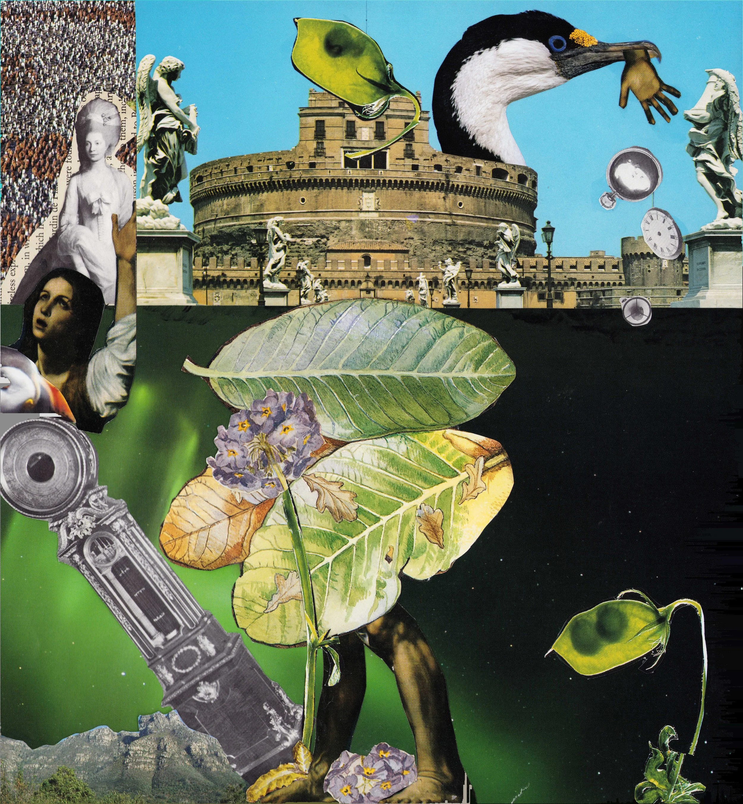 amphi-grown (2025) A4, collage