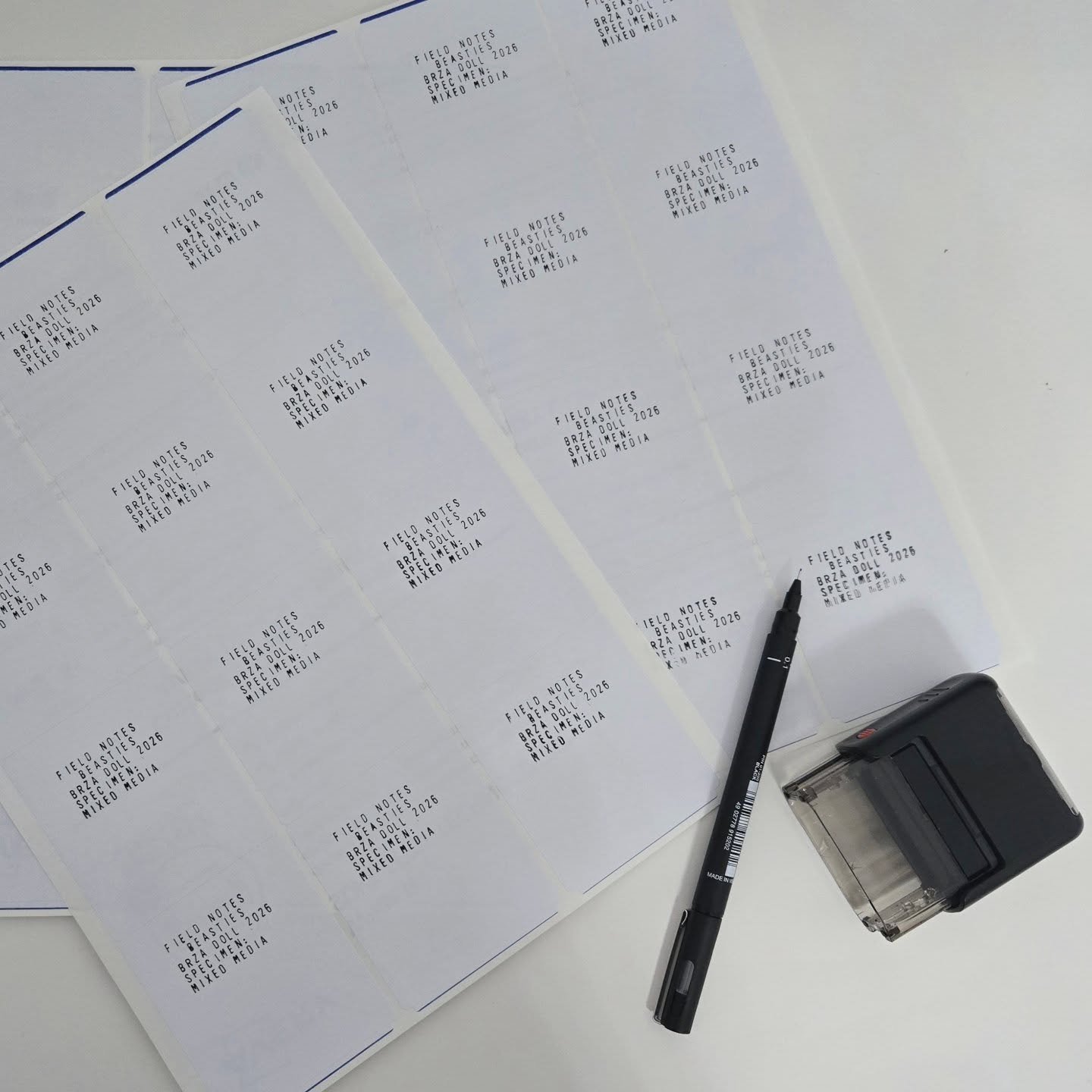 field notes 02. documentation
🖤
specimens being tracked, arranged &amp; registered (classifications remain unstable)
🖤
#beastiesmode #contemporaryabstraction #emergingartistaustralia