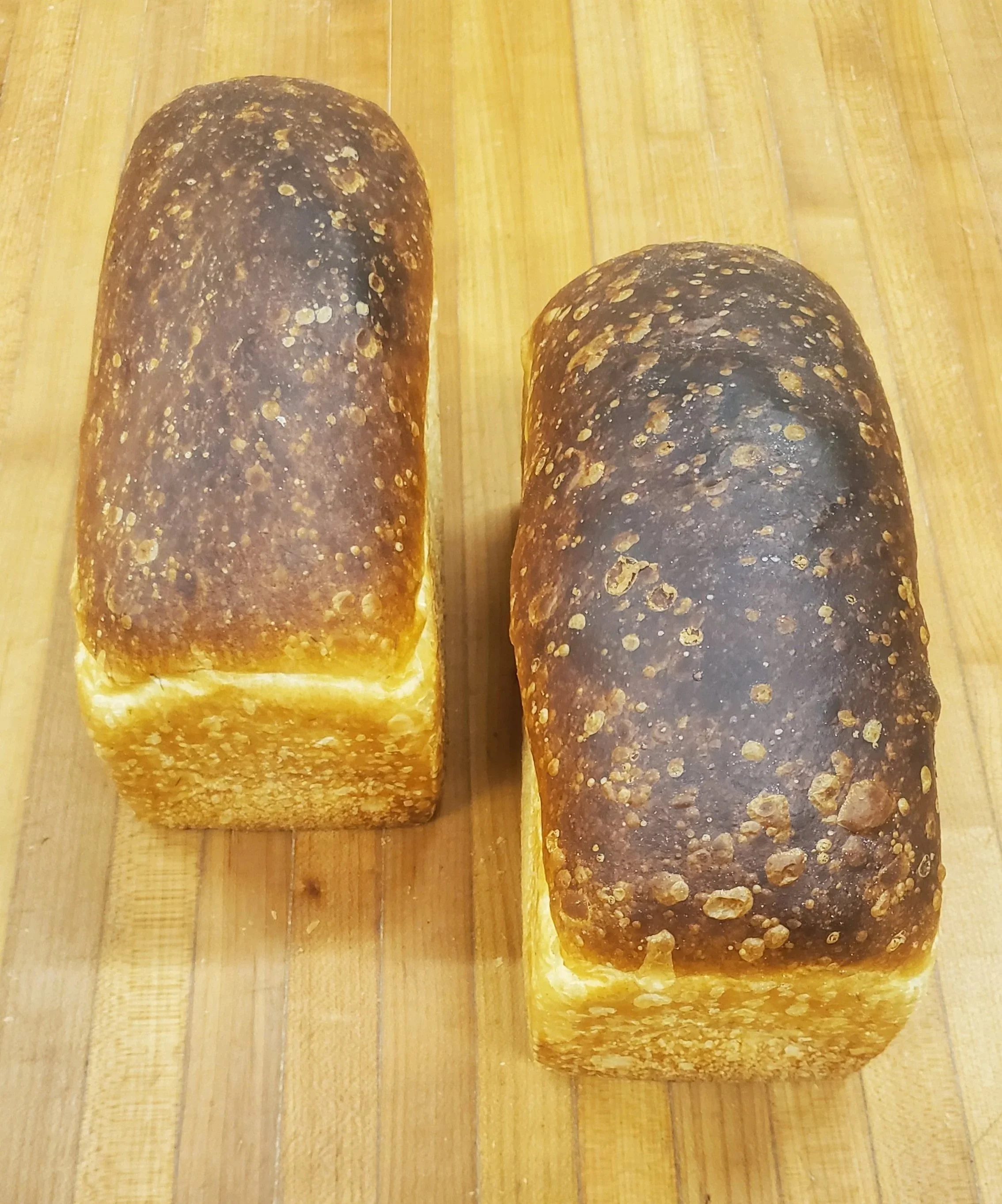 Butter Dill Sourdough Pain de Mie (aka Croissant Bread)