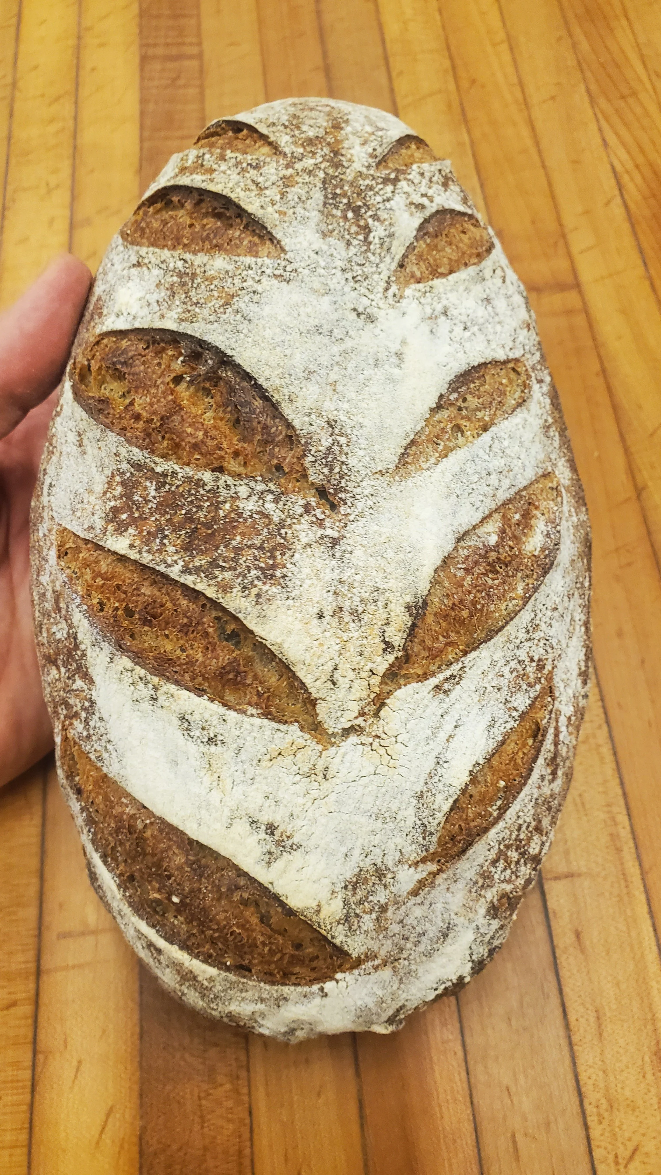 20260304_154439 (1).jpg