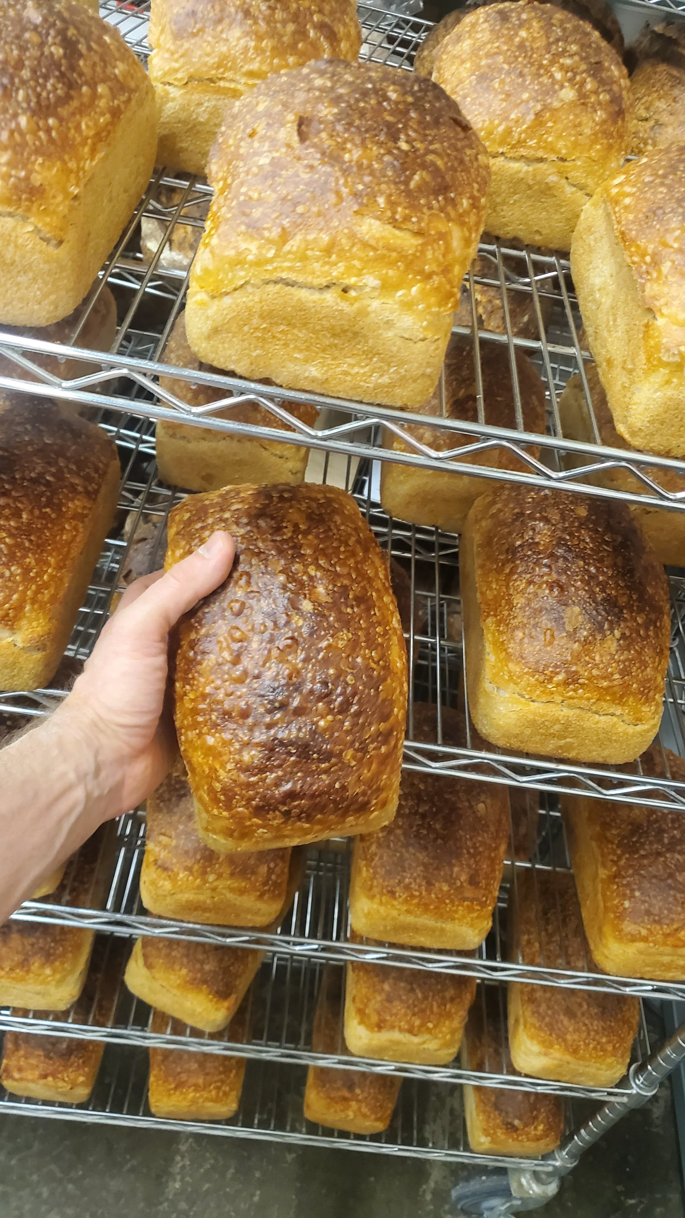 Community Friendship Loaf (CFL) **FOR DONATION ONLY**