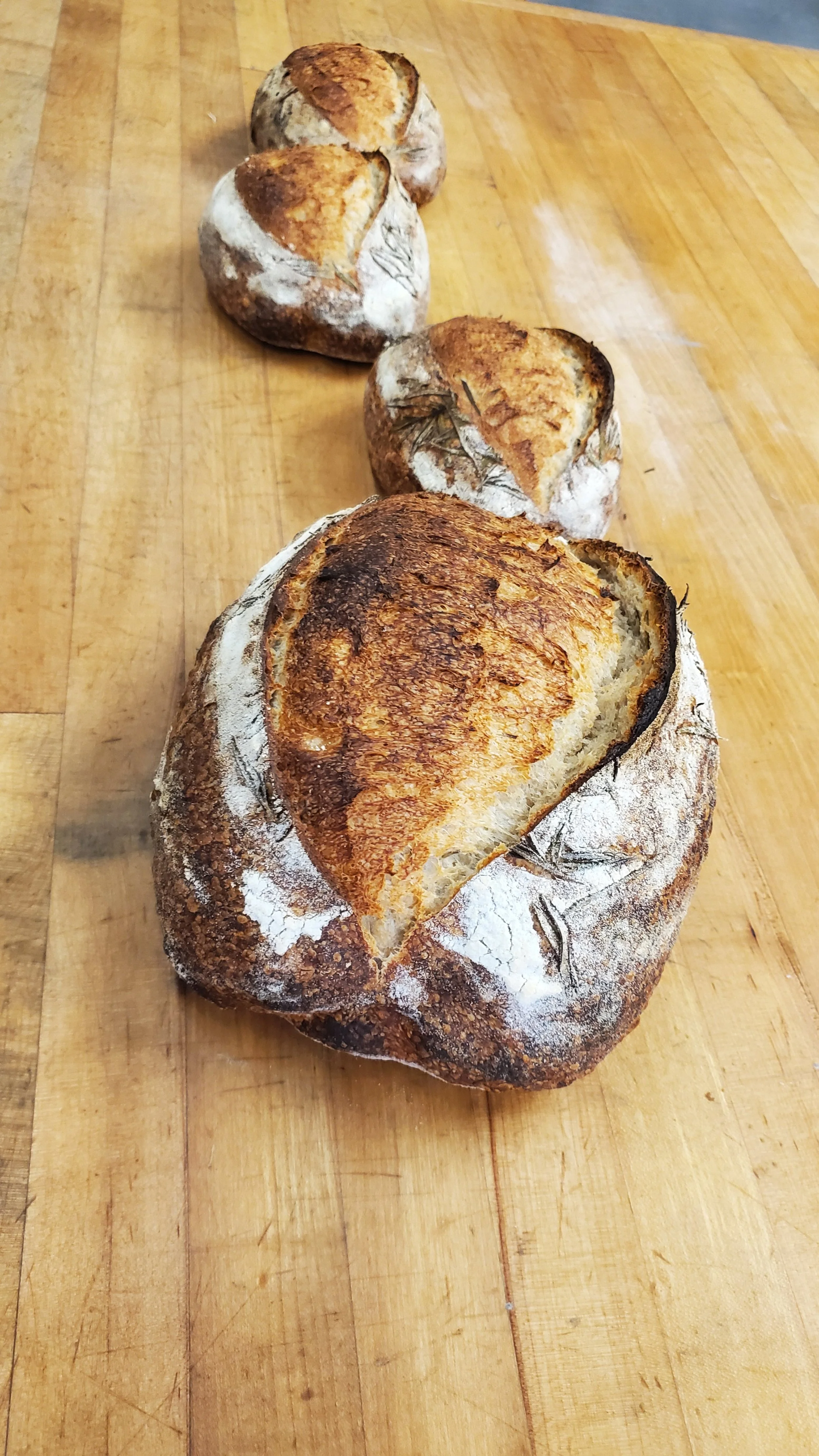 Rosemary 8-week Winter CSB  **FRIDAY PICK-UP**