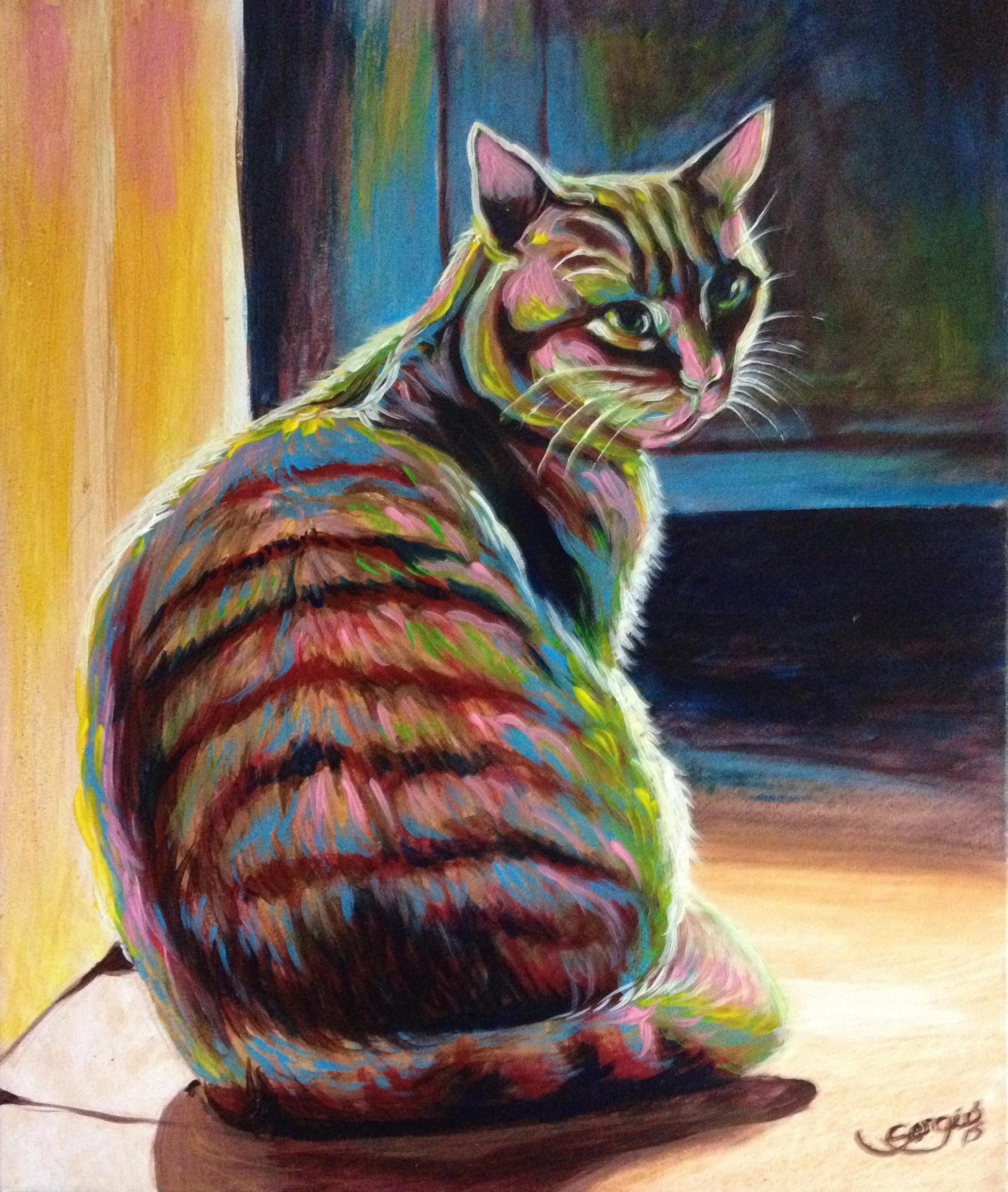 31.-gato acrilico lienzo 60x50 6mil.JPG
