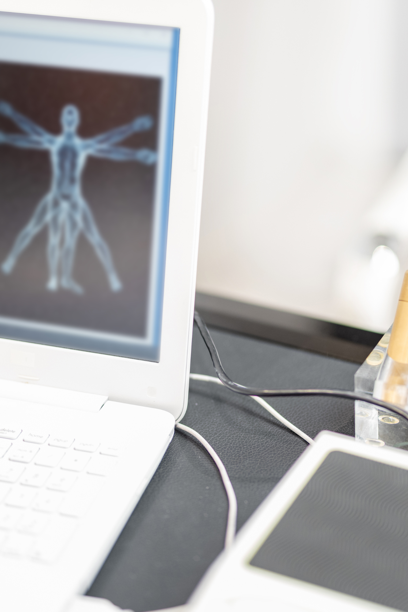 Top 5 Reasons Everyone Should Get a Bioenergetic Scan