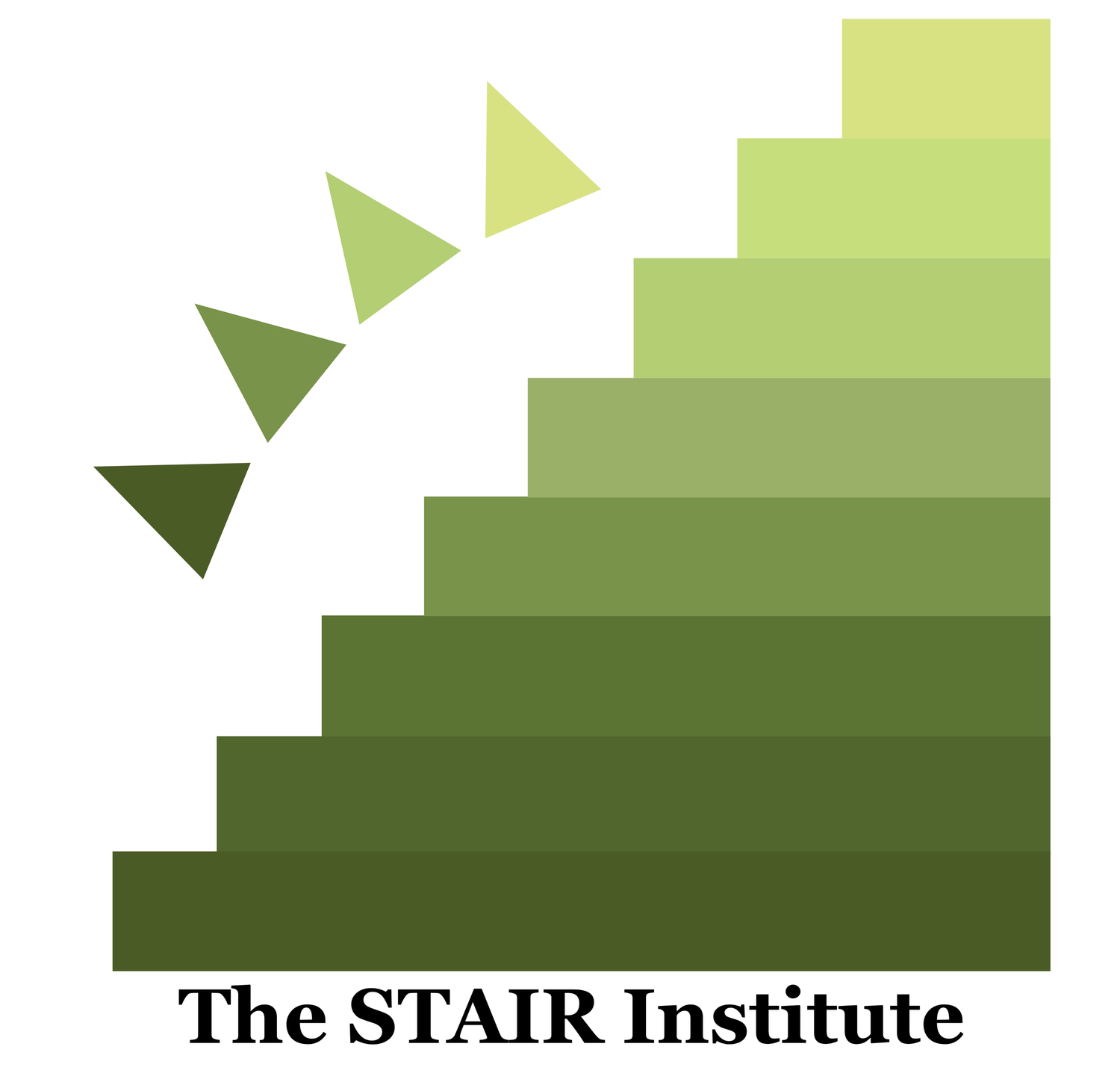 STAIR Institute