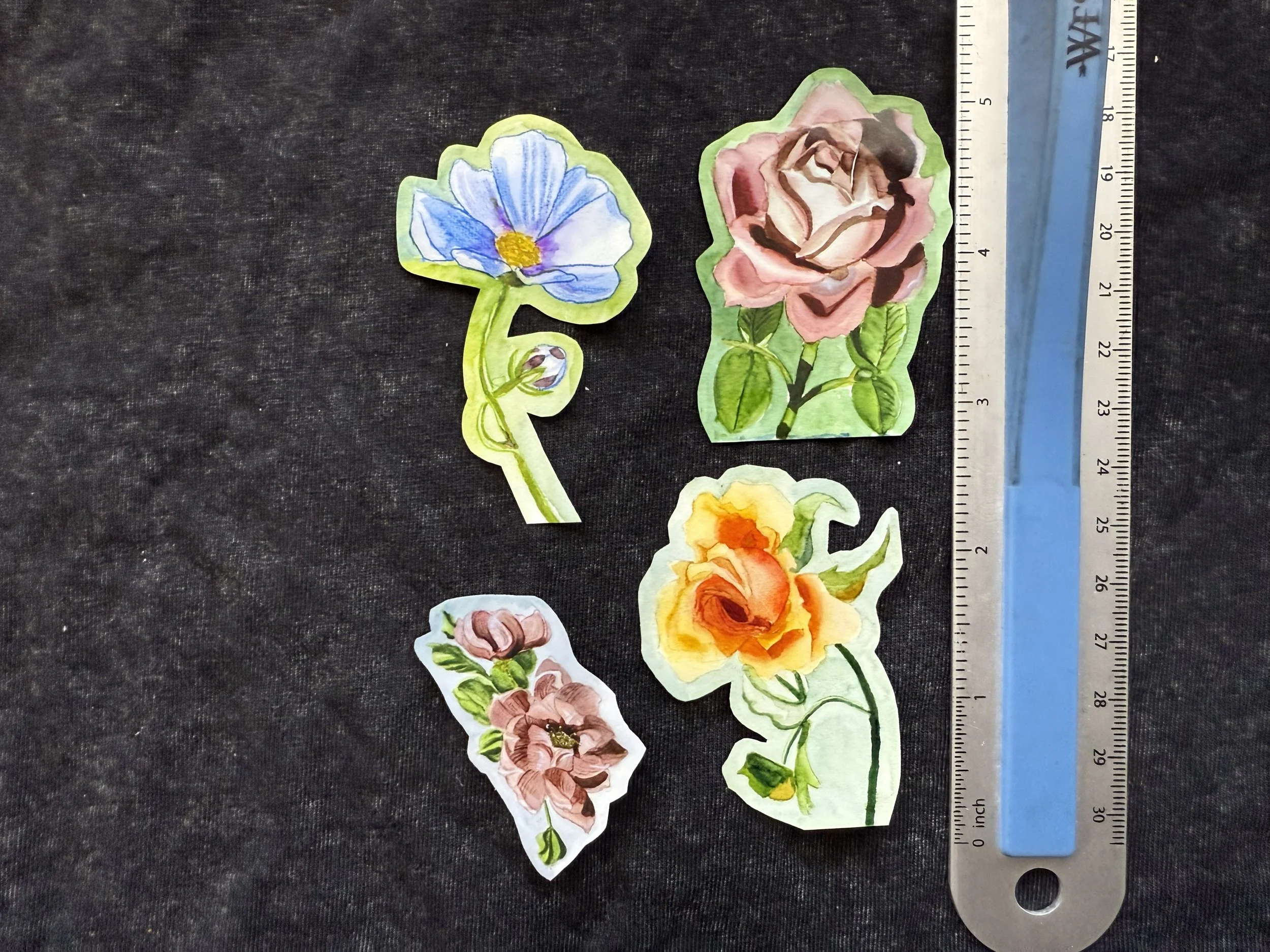 flower pack 1 measure.jpeg