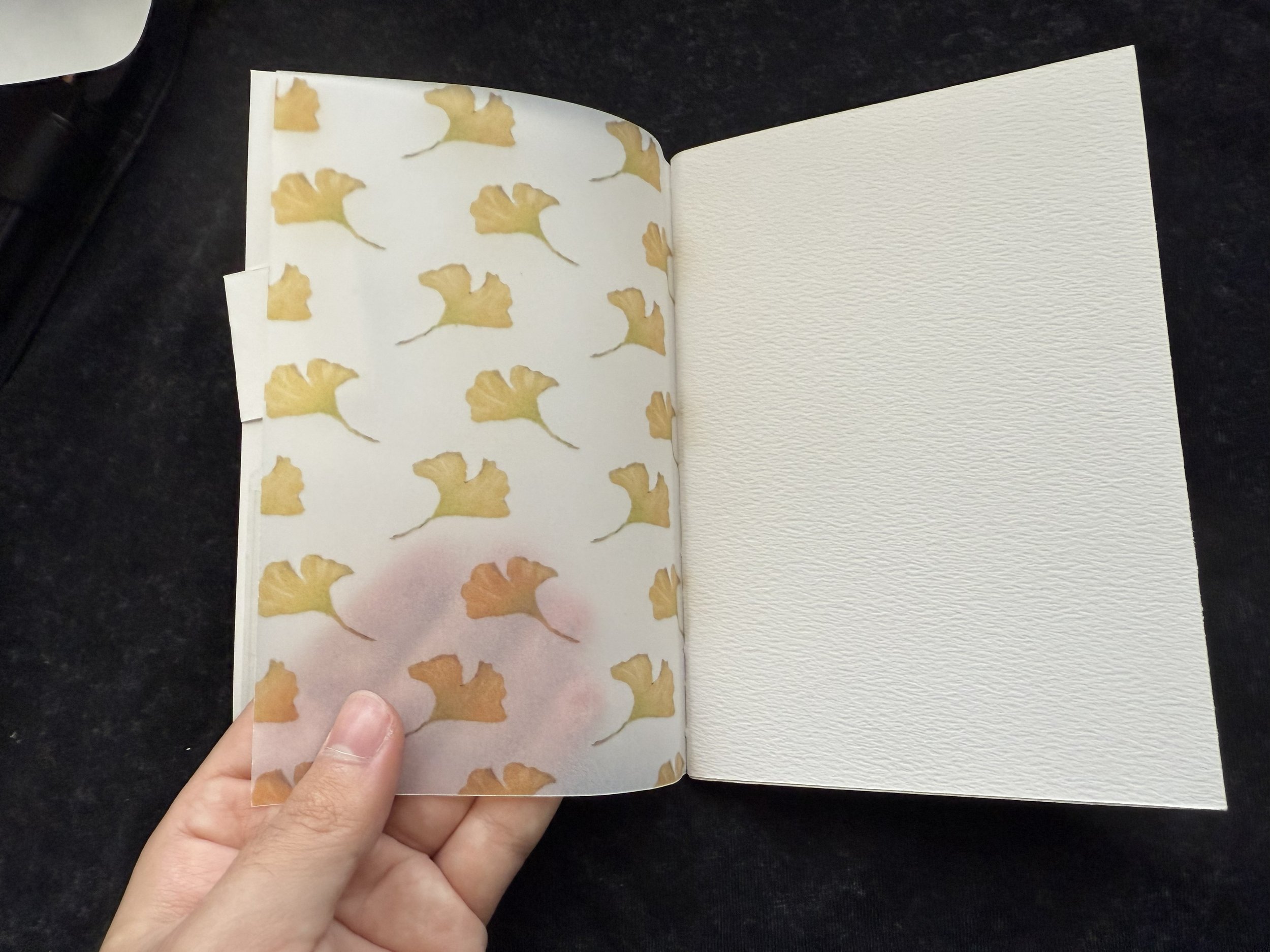 swatches kit 2 inside 2.jpeg