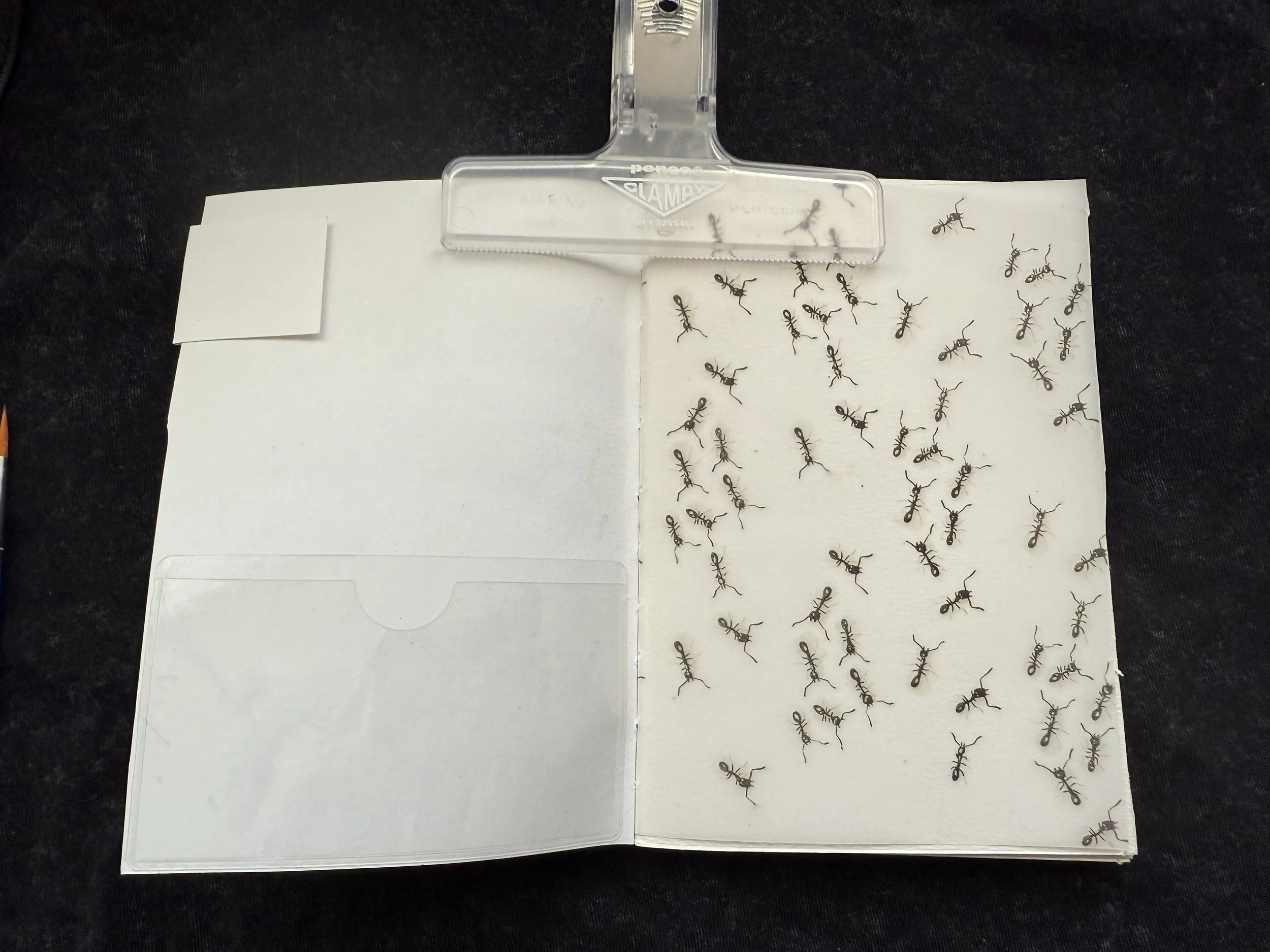 spider kit 1 inside .jpeg