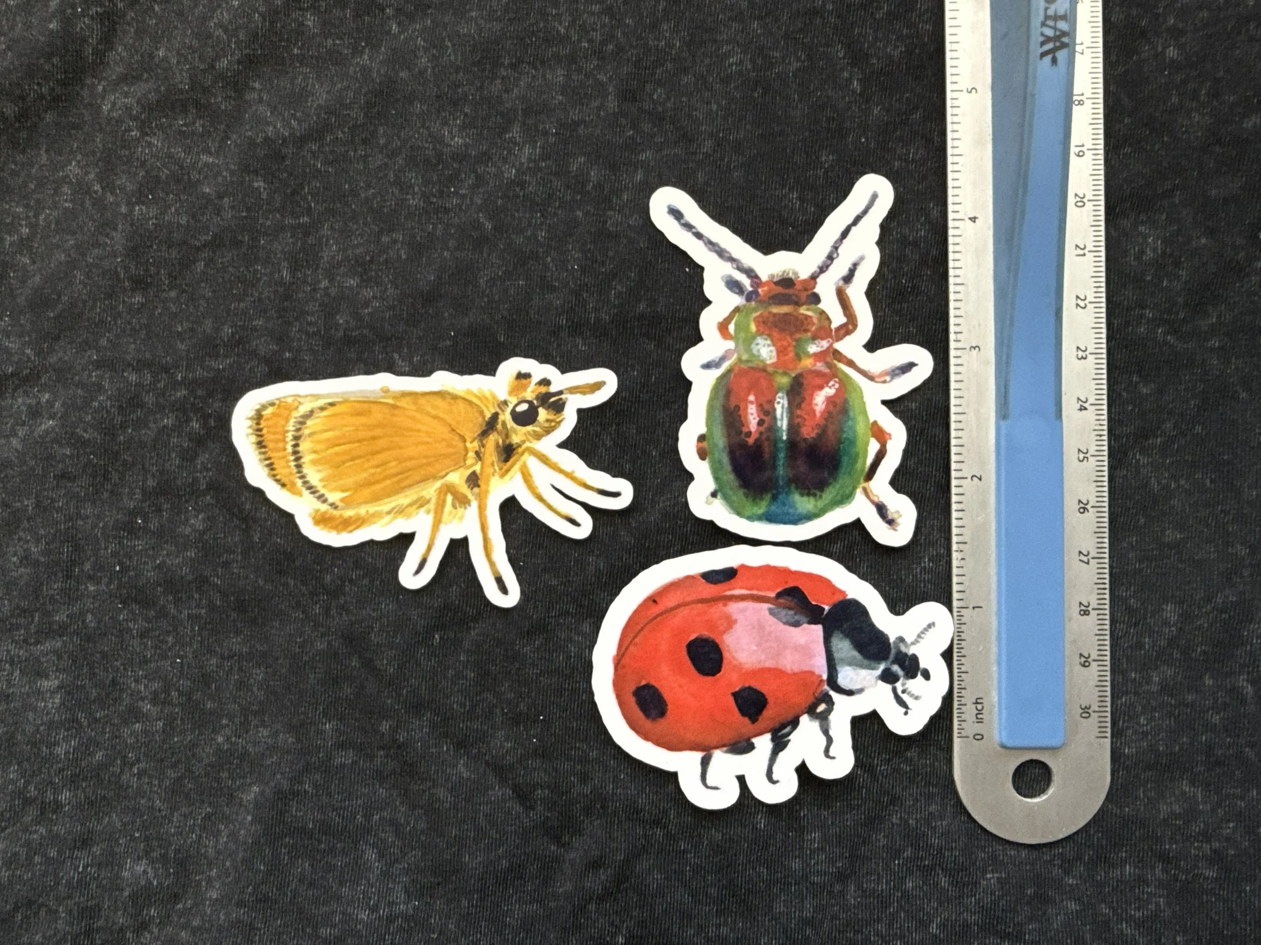 cute bugs pack measure.jpeg