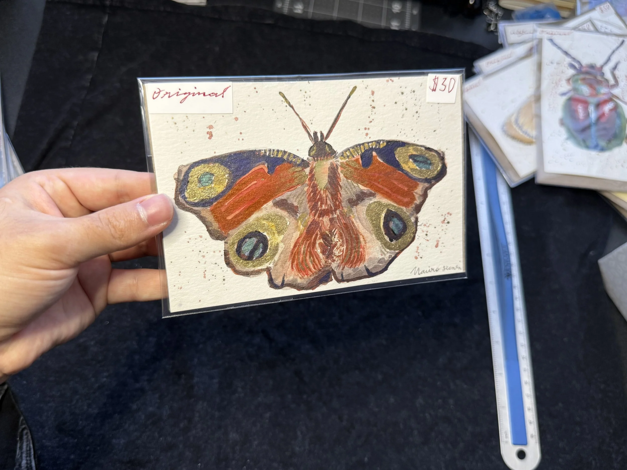 moth original shine 2 .jpeg