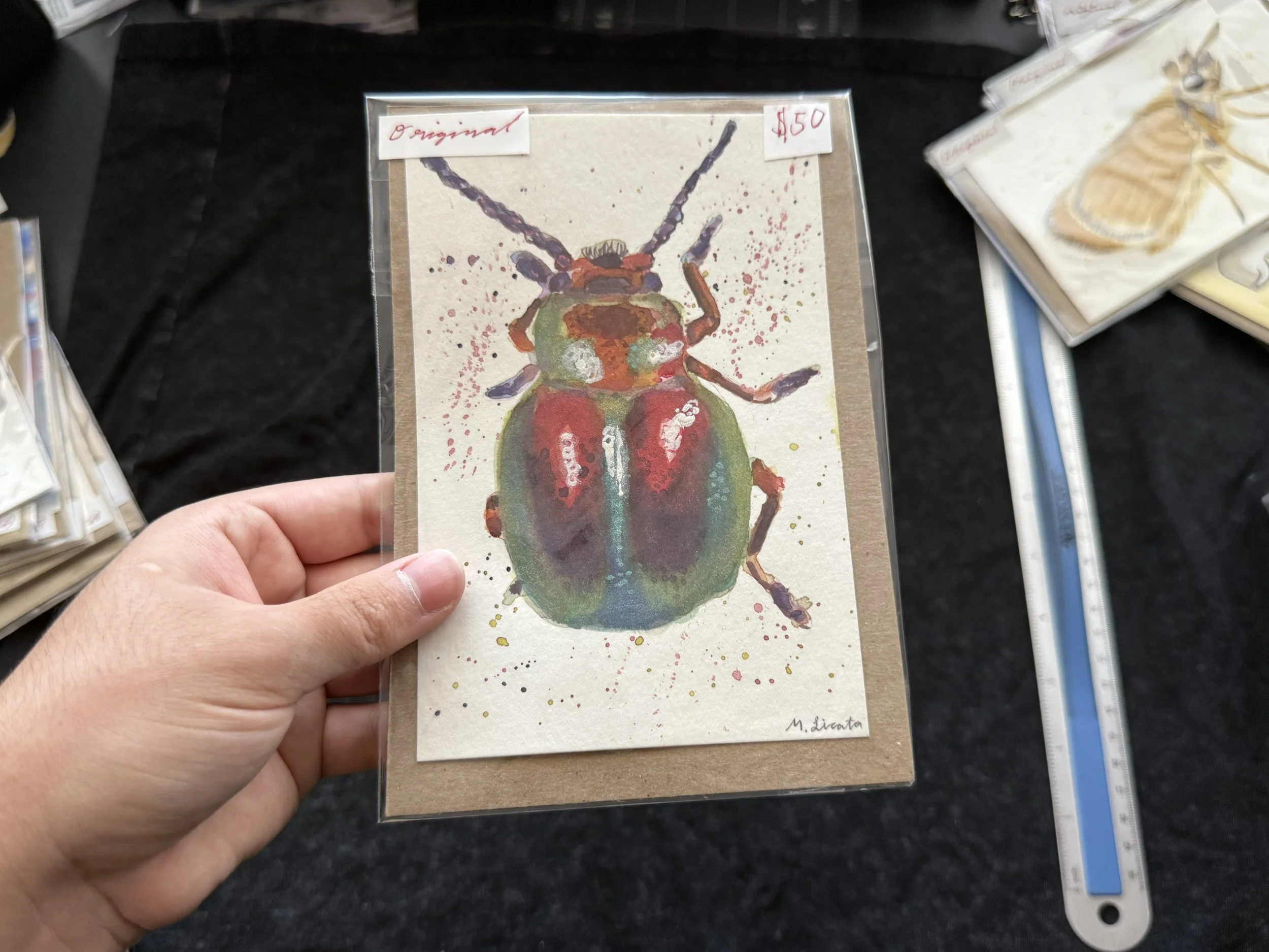 beetle original shine.jpeg