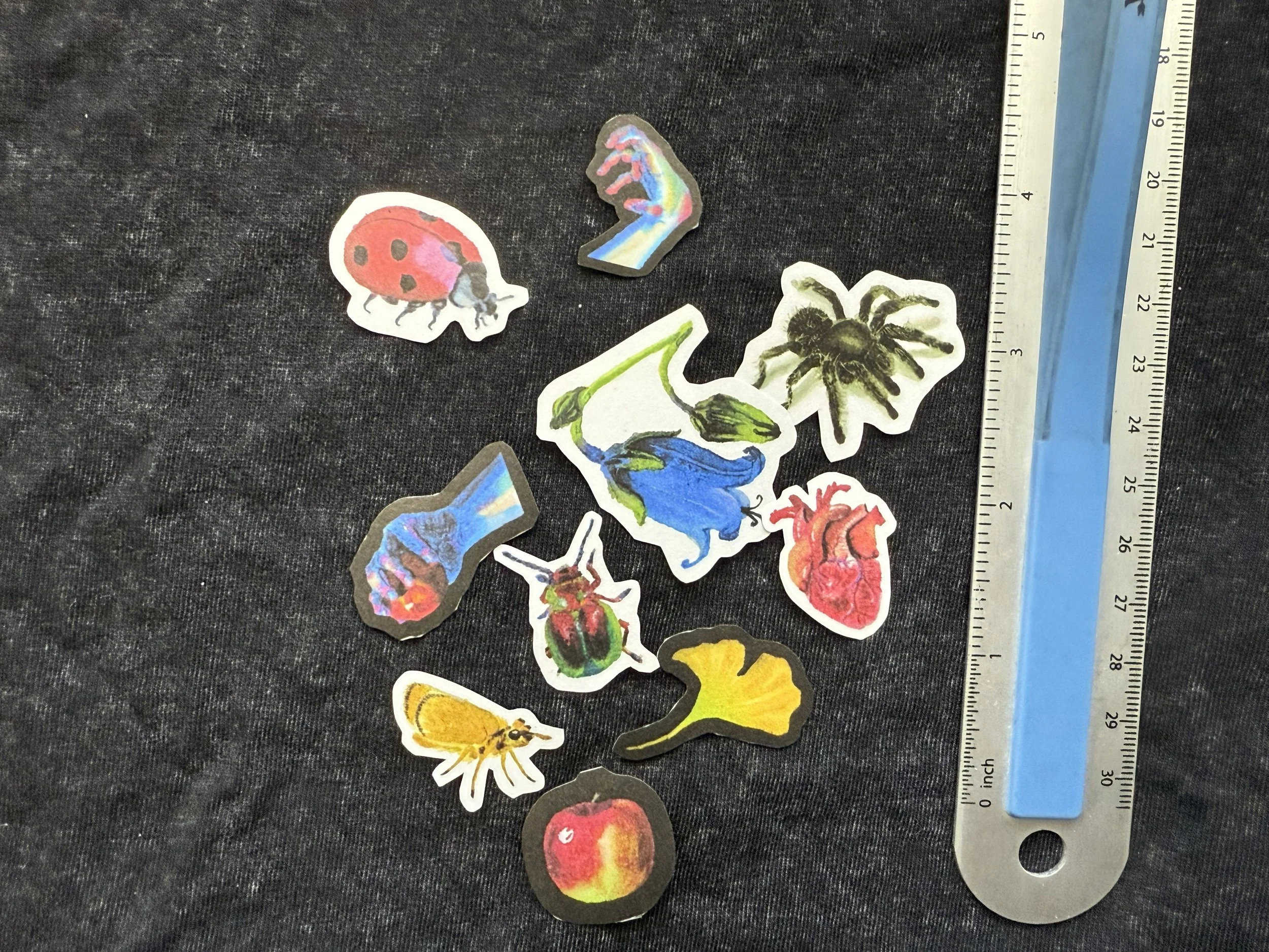 washi sticker pack stickers measure.jpeg