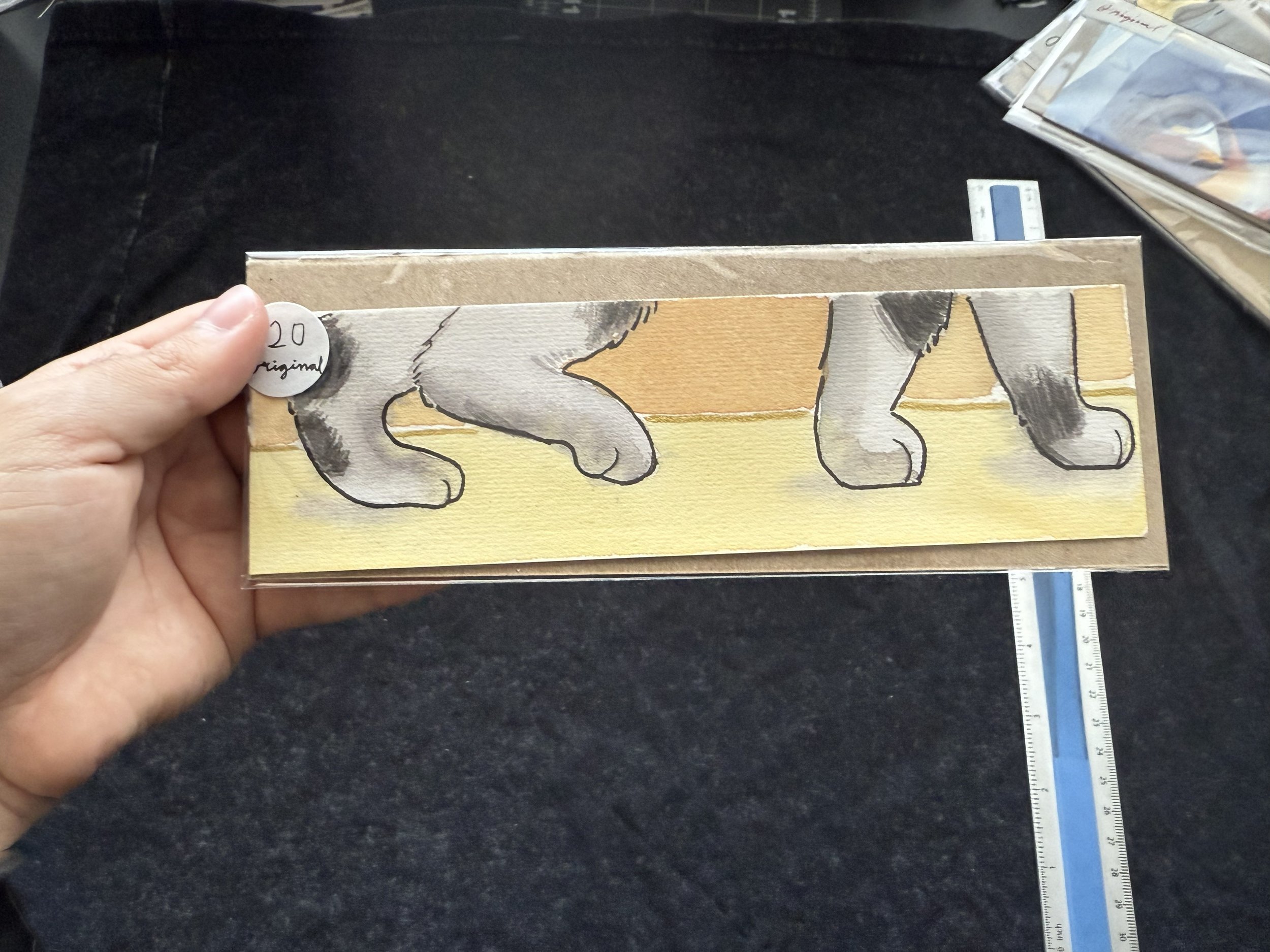 cat original shine.jpeg