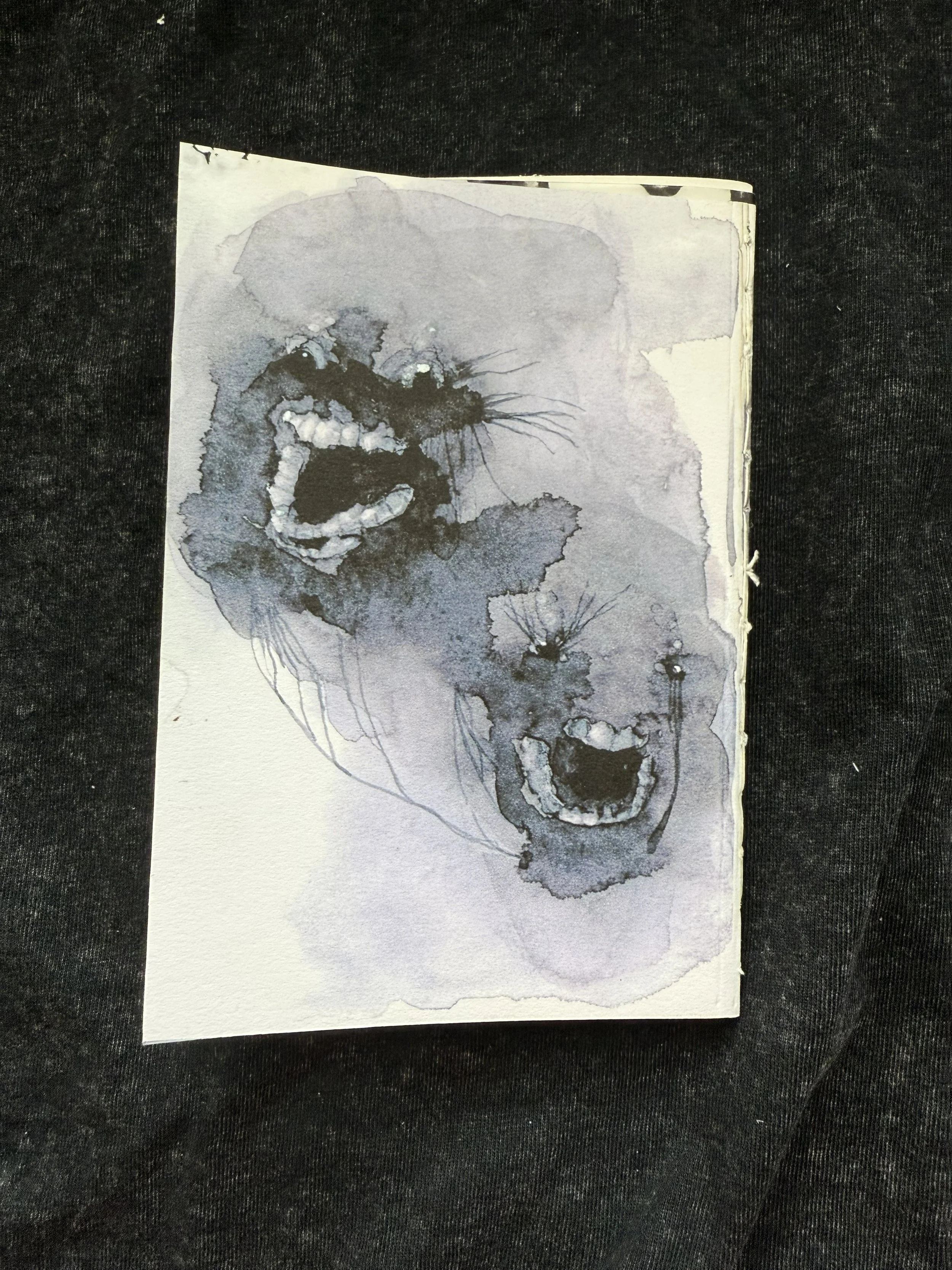 IMG_0725.jpeg