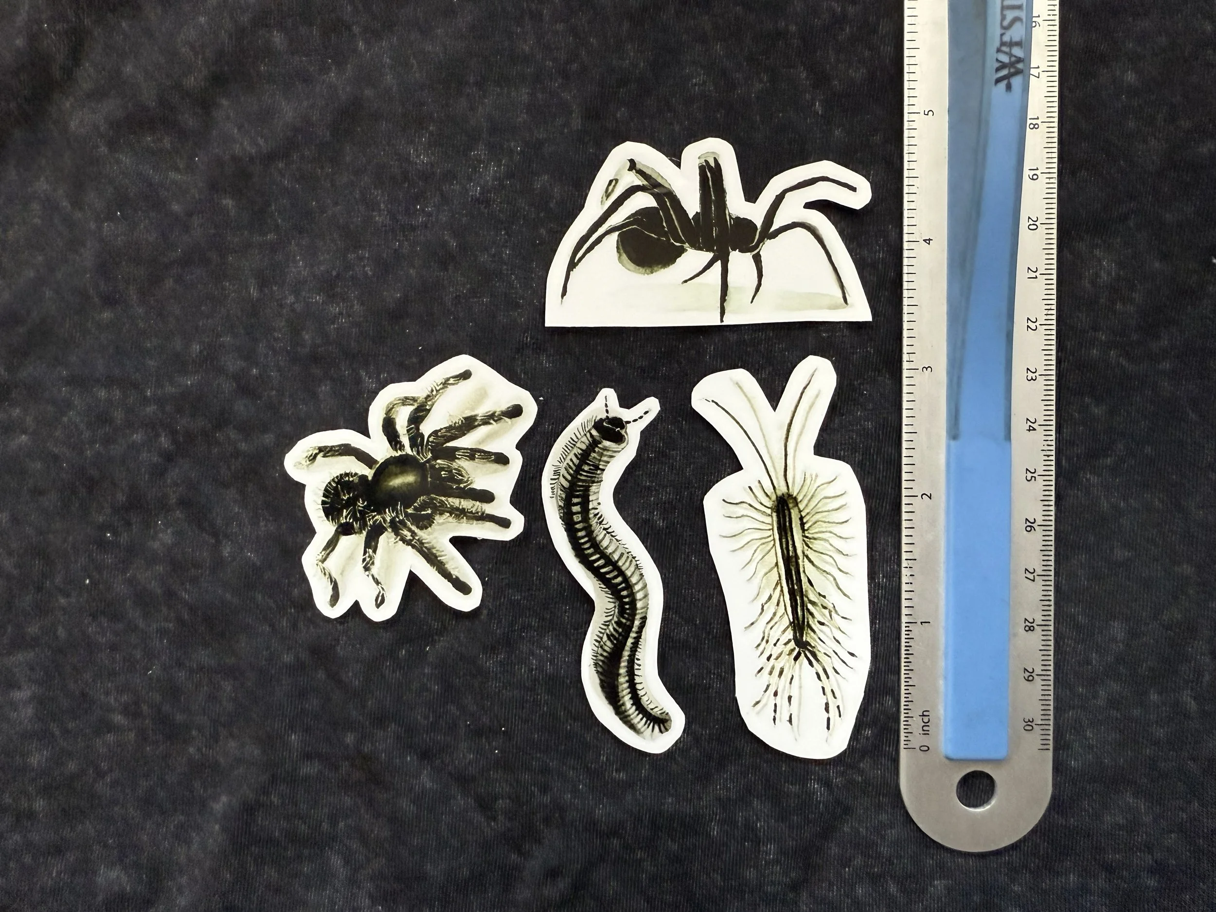 creepy bugs pack measure.jpeg