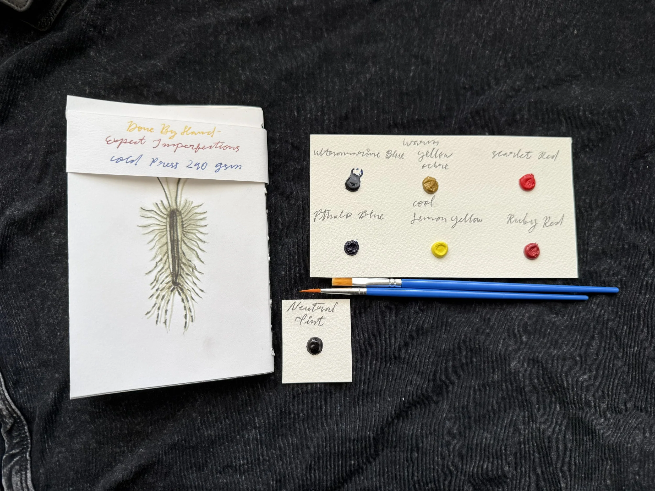 spider kit back 1 .jpeg
