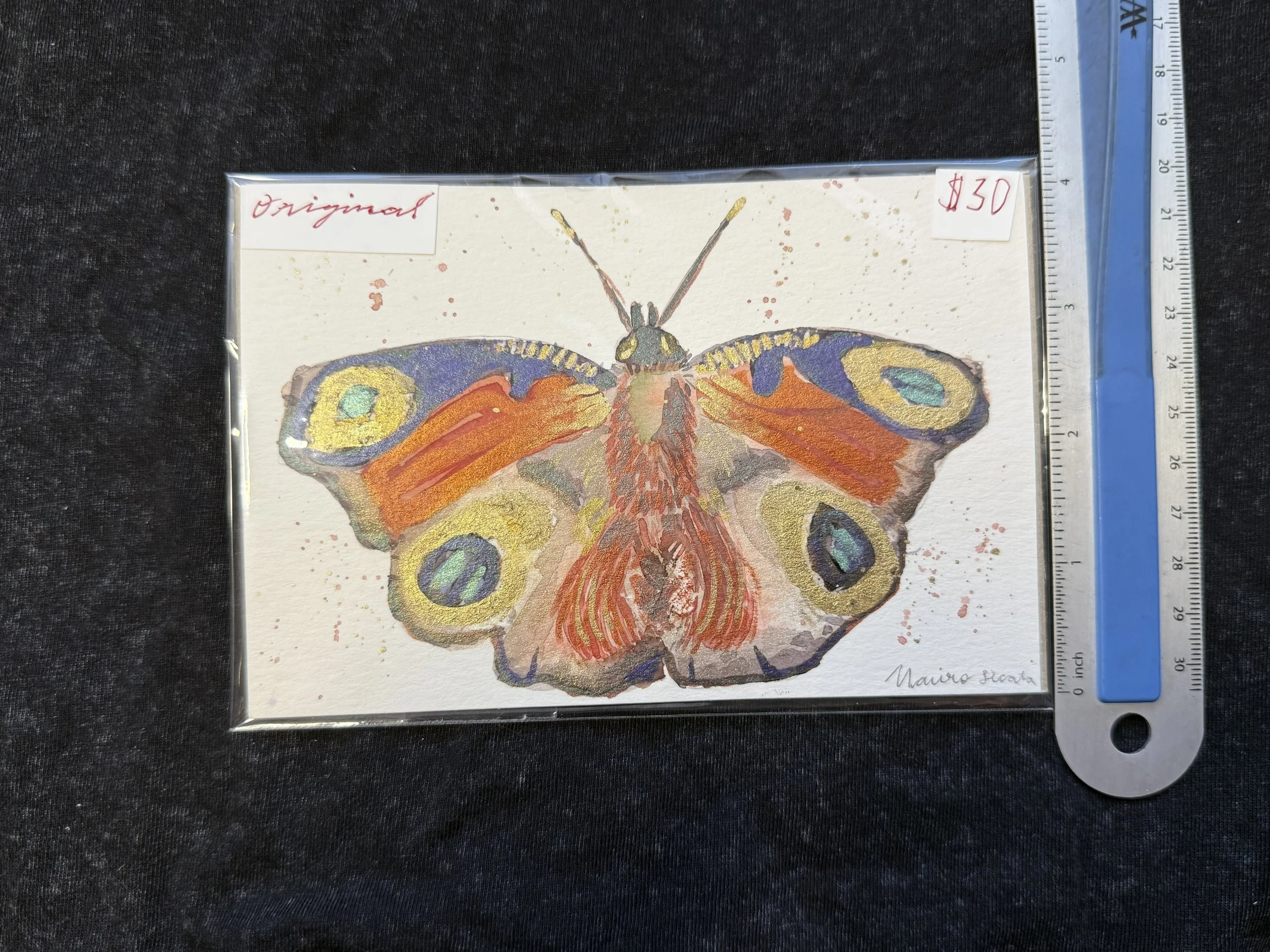 moth original measure .jpeg