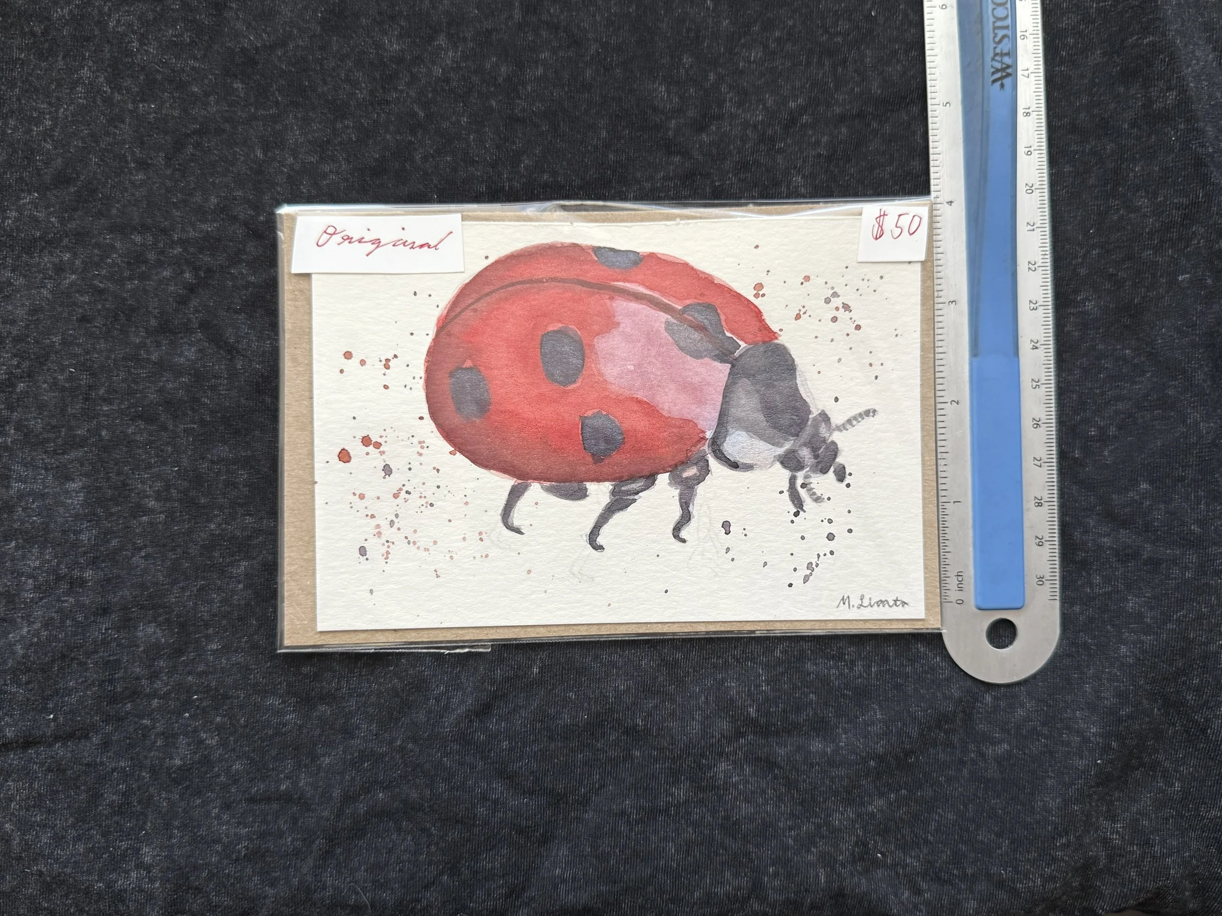 ladybug original measure.jpeg