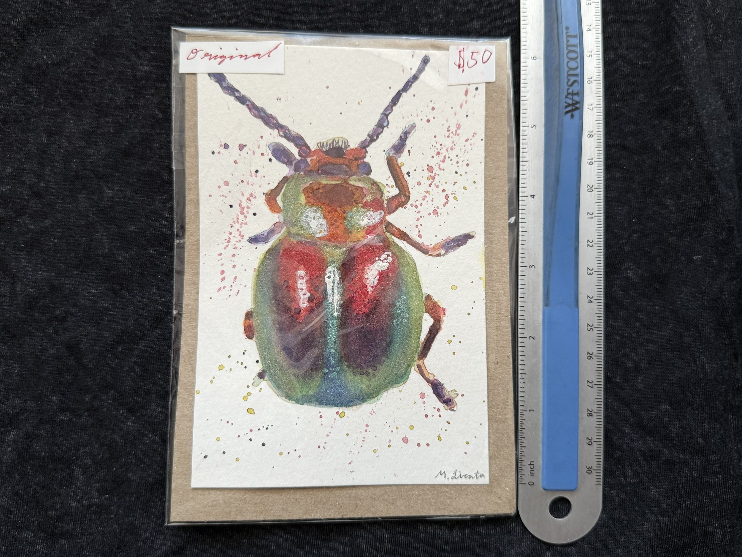 beetle original measure.jpeg