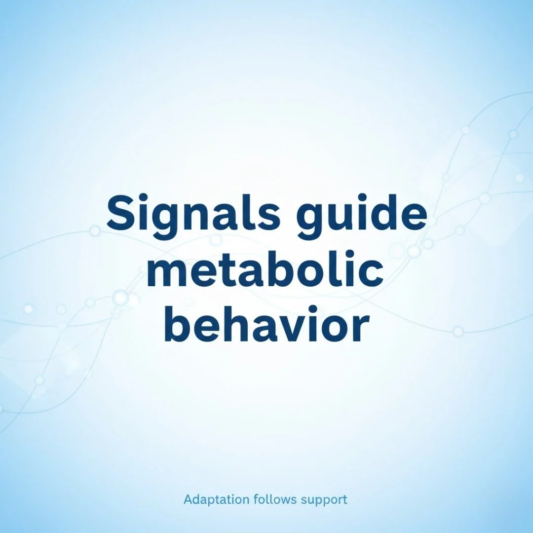 When progress stalls despite consistency, it&rsquo;s rarely about effort.

The body is constantly deciding where to allocate resources. If internal signals suggest instability&mdash;poor recovery, low reserve, or competing stressors&mdash;energy is r