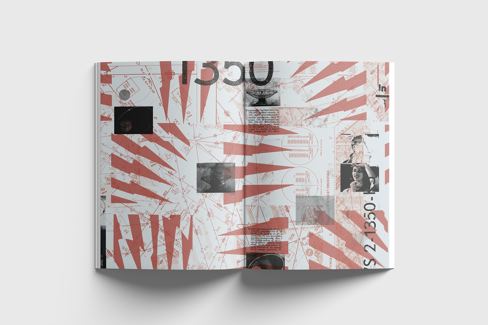 REV010_Shop_2.png