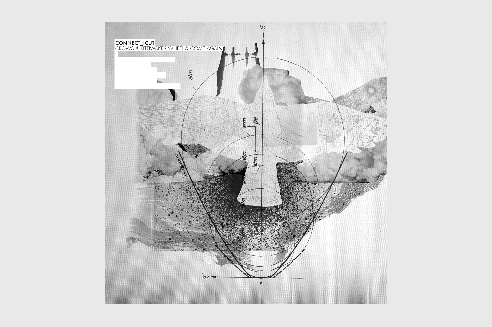 connect_icut - Crows & Kittiwakes Wheel & Come Again
