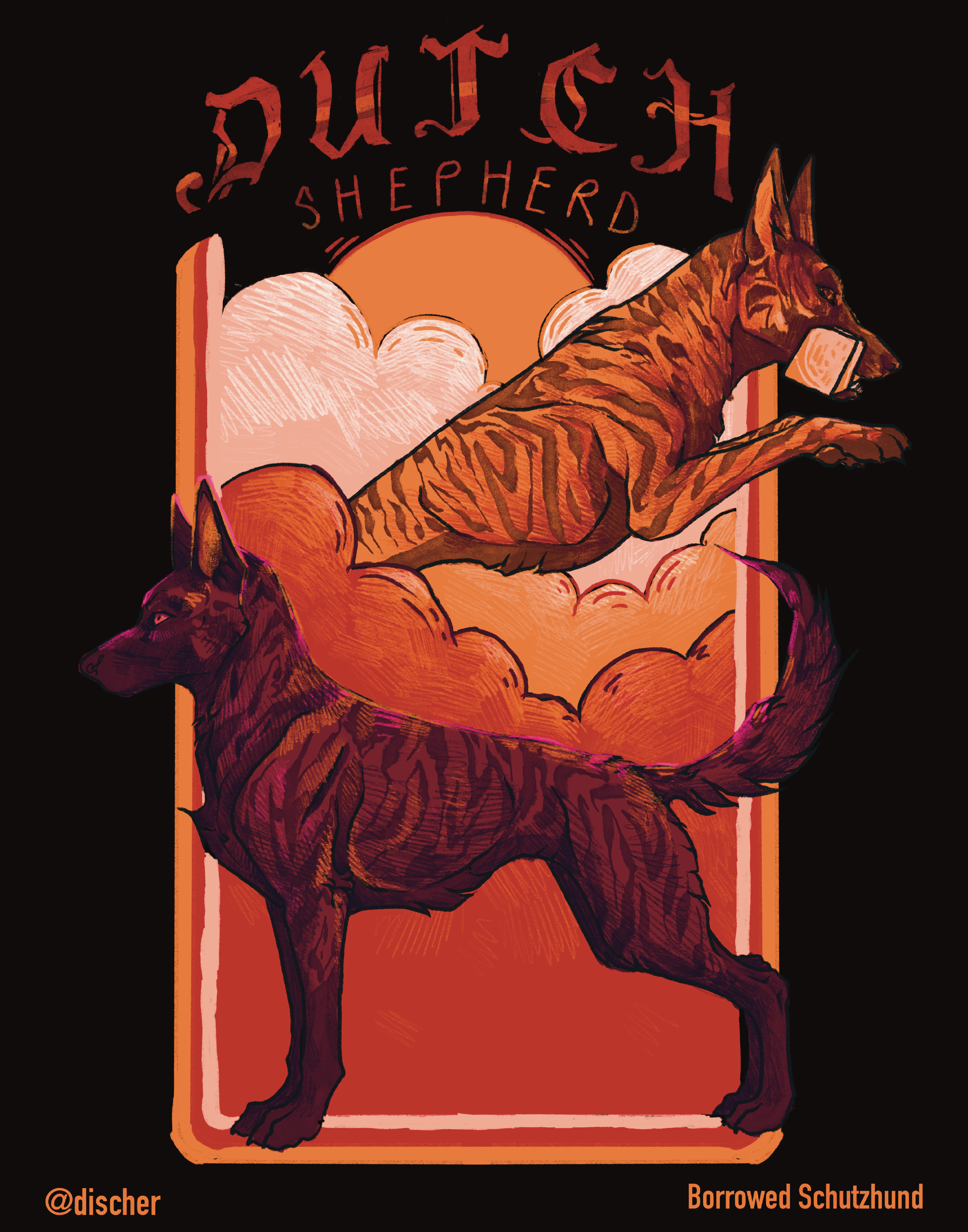 Dutch Shepherd Poster Download
