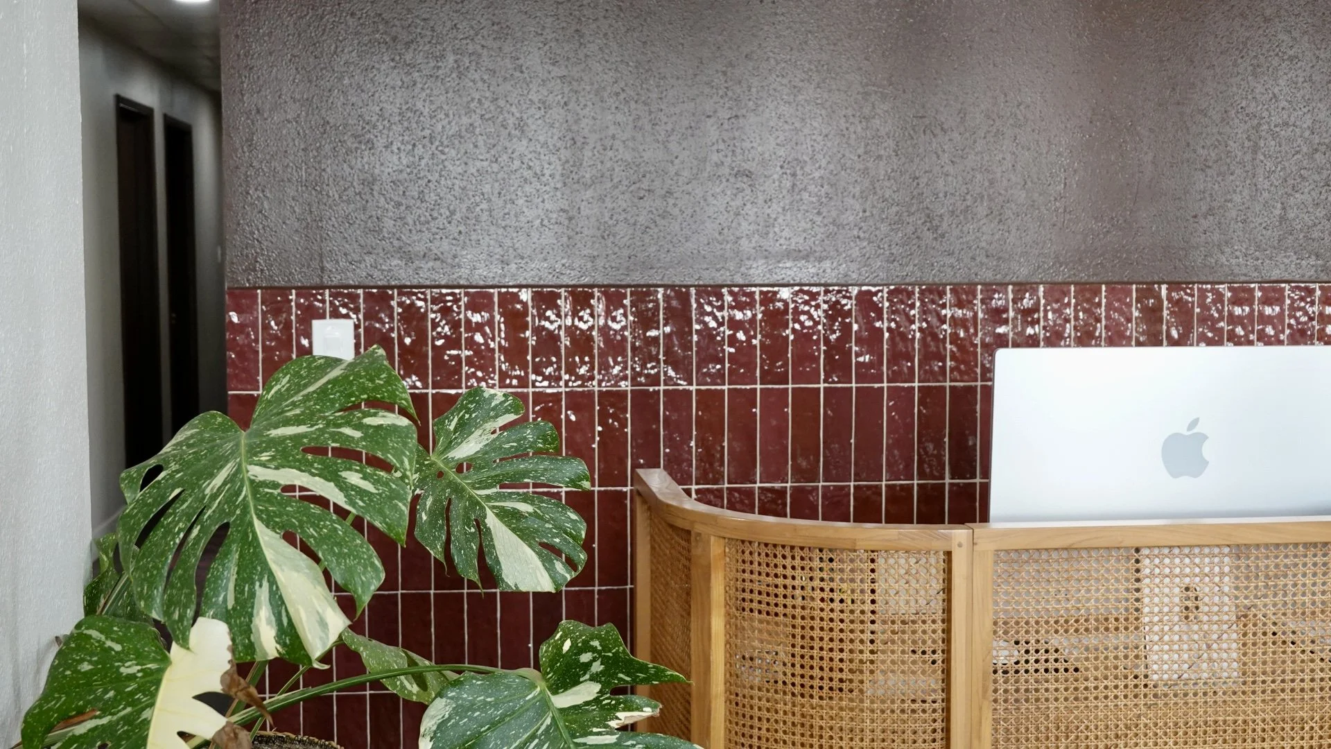 Indoor scene with a potted plant with large green, white-variegated leaves on the left, a red tile wall with a white electrical outlet in the middle, and a wooden desk on the right holding a silver Apple iMac computer.