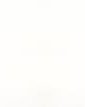 Empty+White+Space.jpg