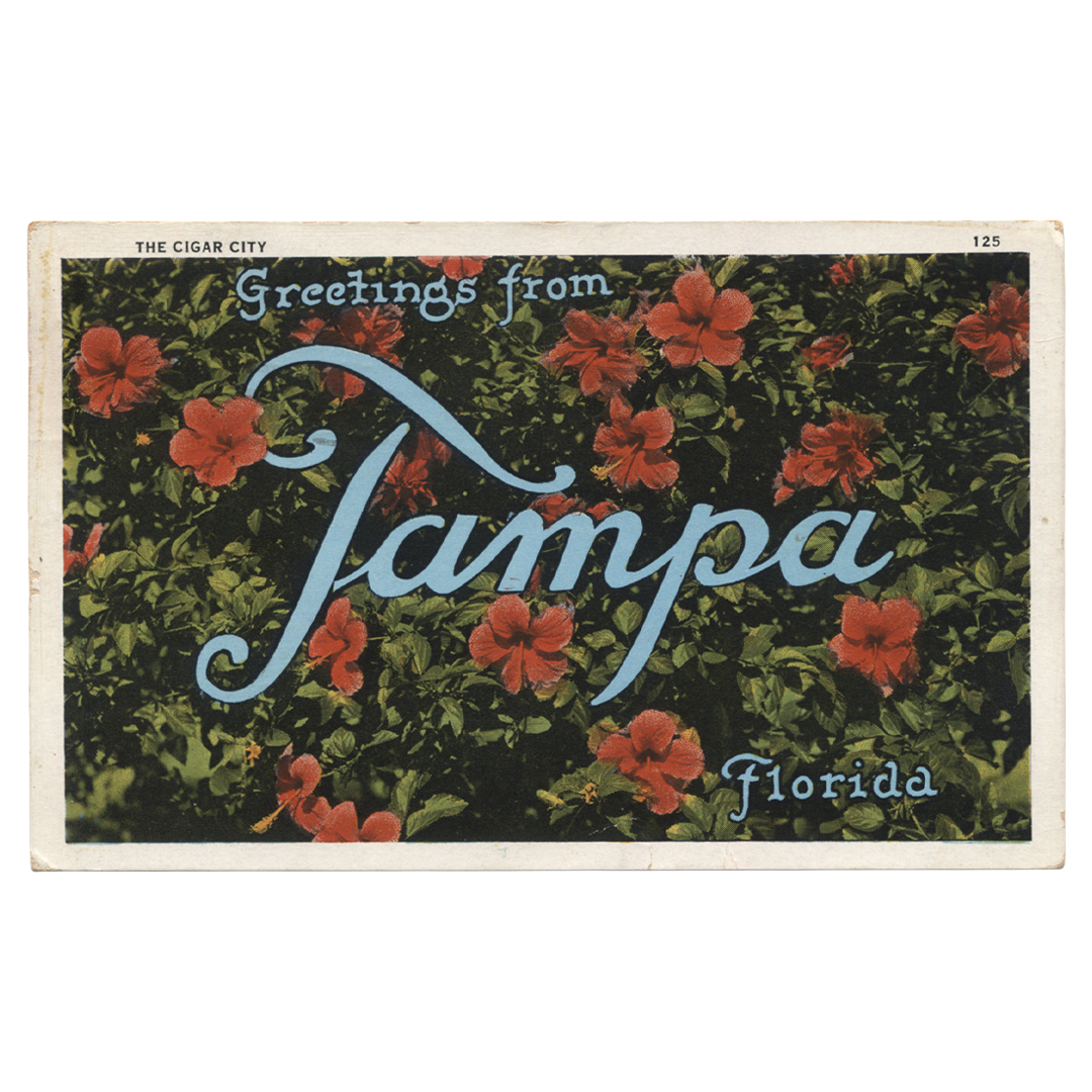 OldTampaBay-SM-025.png