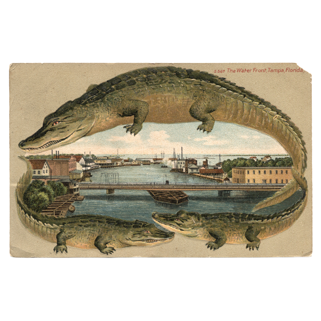 OldTampaBay-SM-001.png