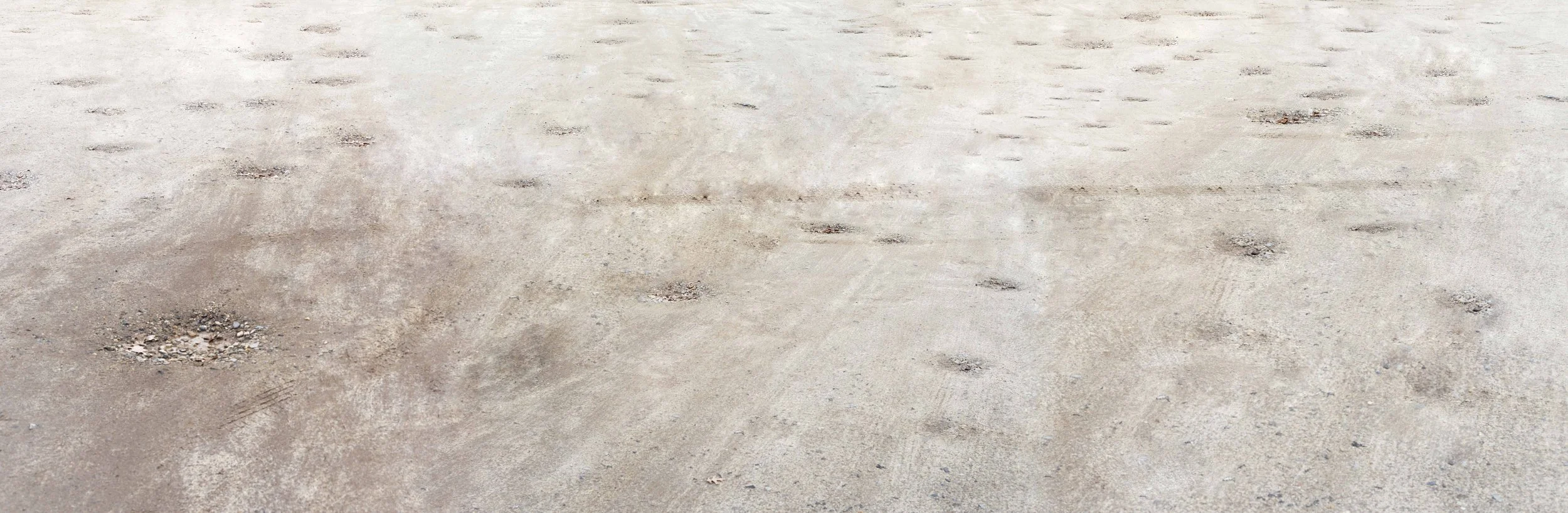 face of the earth_annabelle collette_2022.jpg