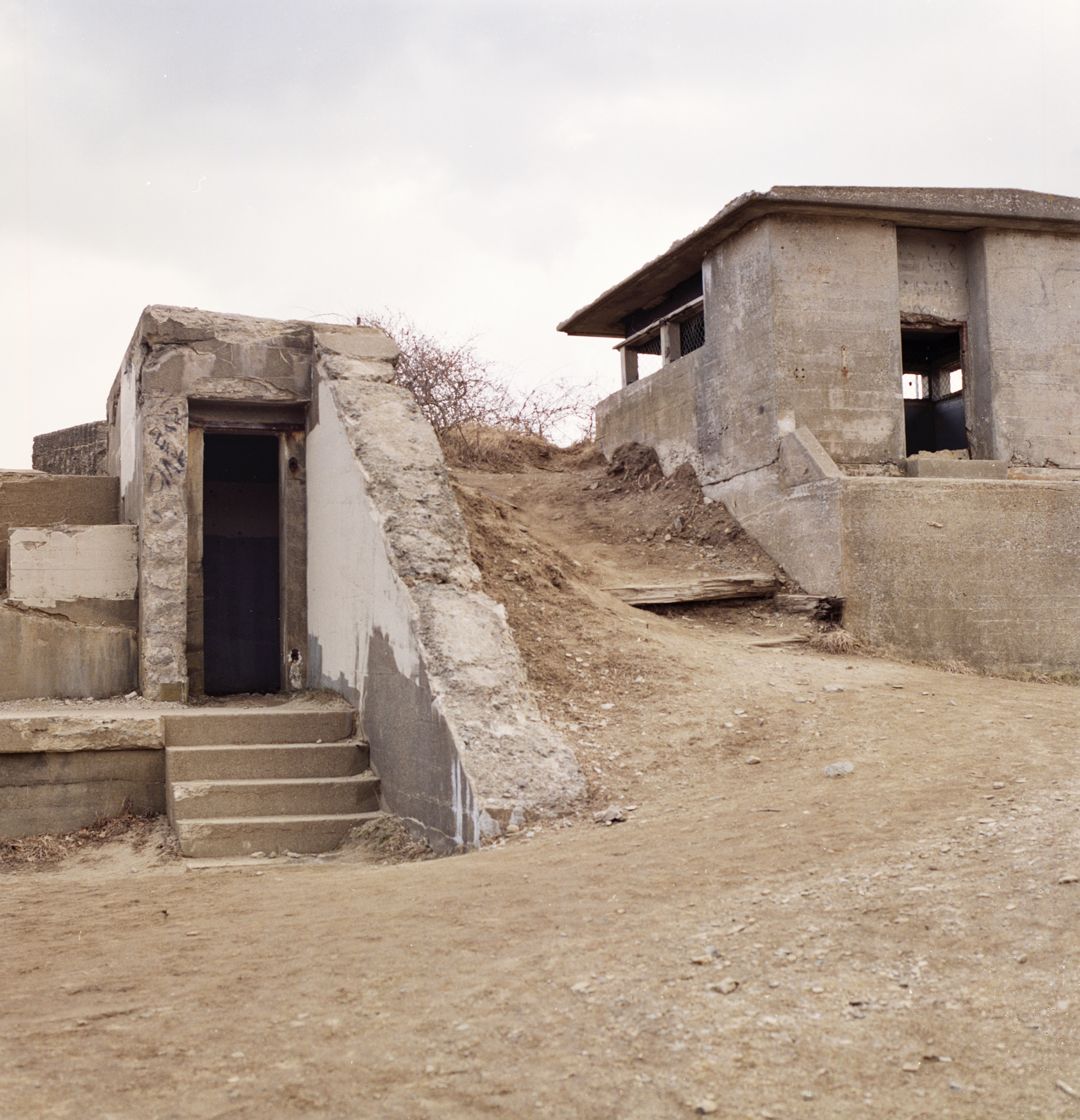 Screenshot 2024-11-20 at 9.52.01 AM.png