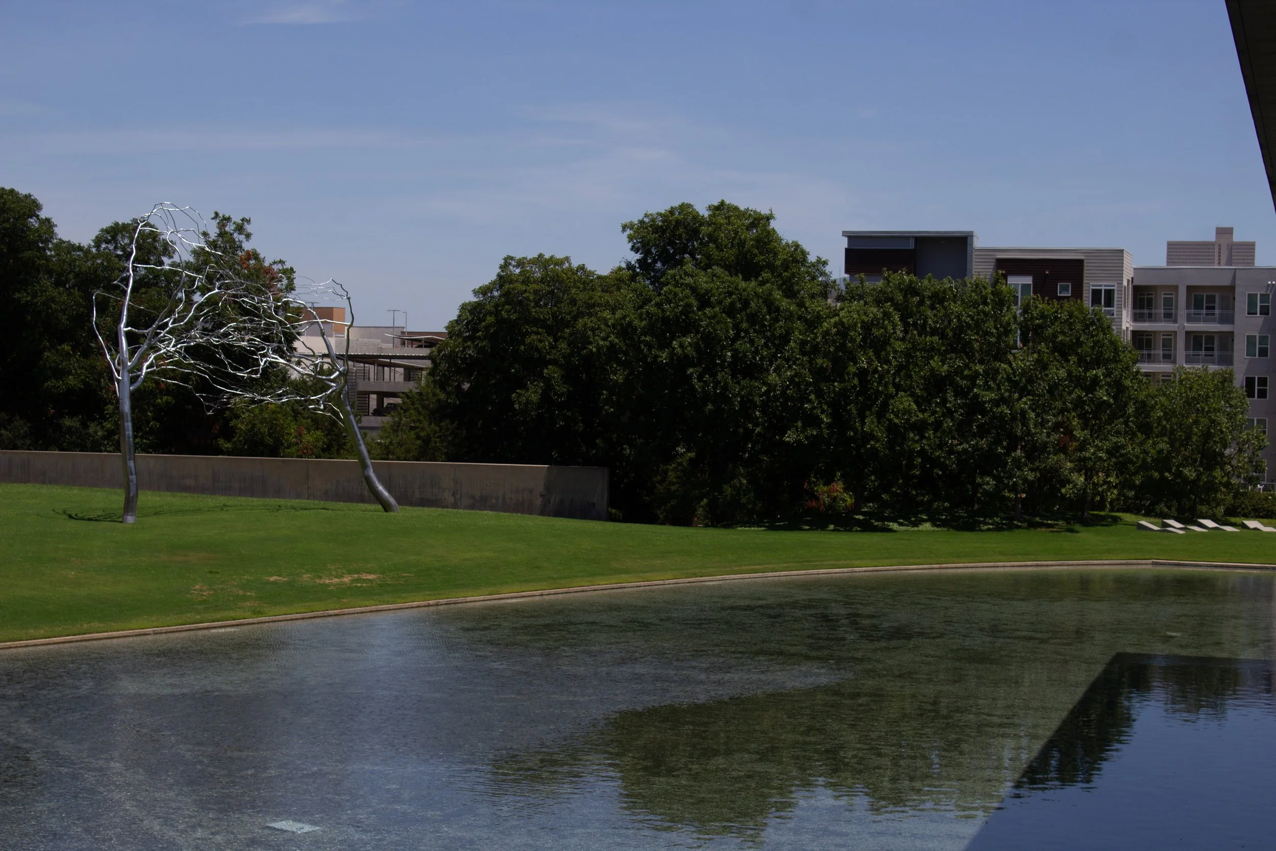 Urban park with a small pond, green grass, a leafless art sculpture resembling a tree, and densely packed trees with buildings in the background under a clear blue sky.