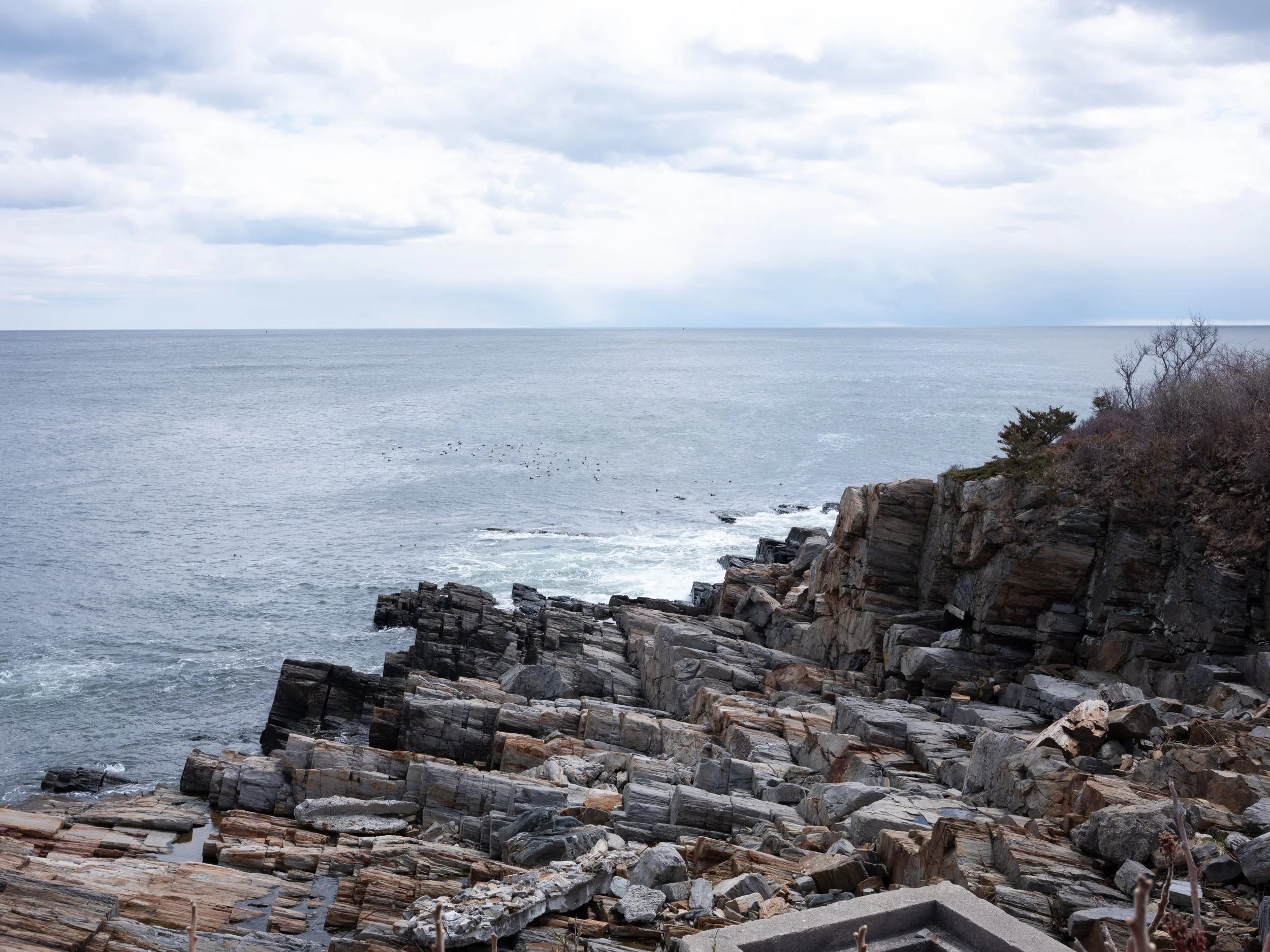 Rocky coastline with sparse trees and bushes, overlooking the ocean on a cloudy day.