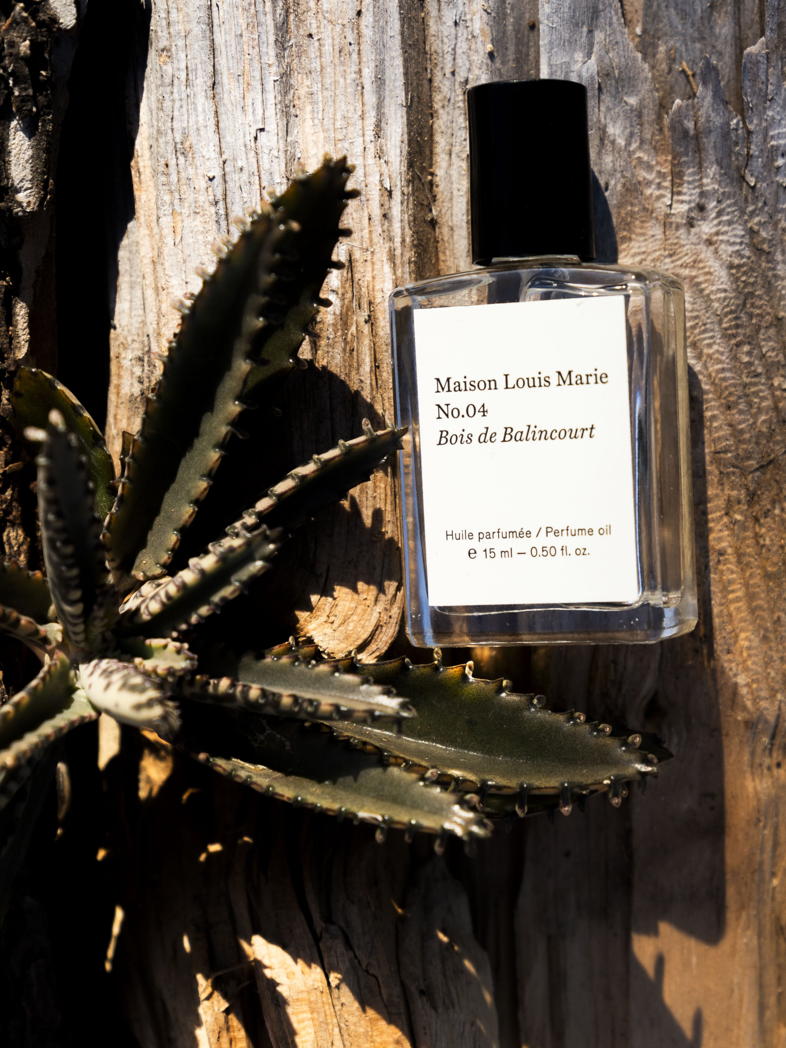 Maison Louis Marie, Waco, TX