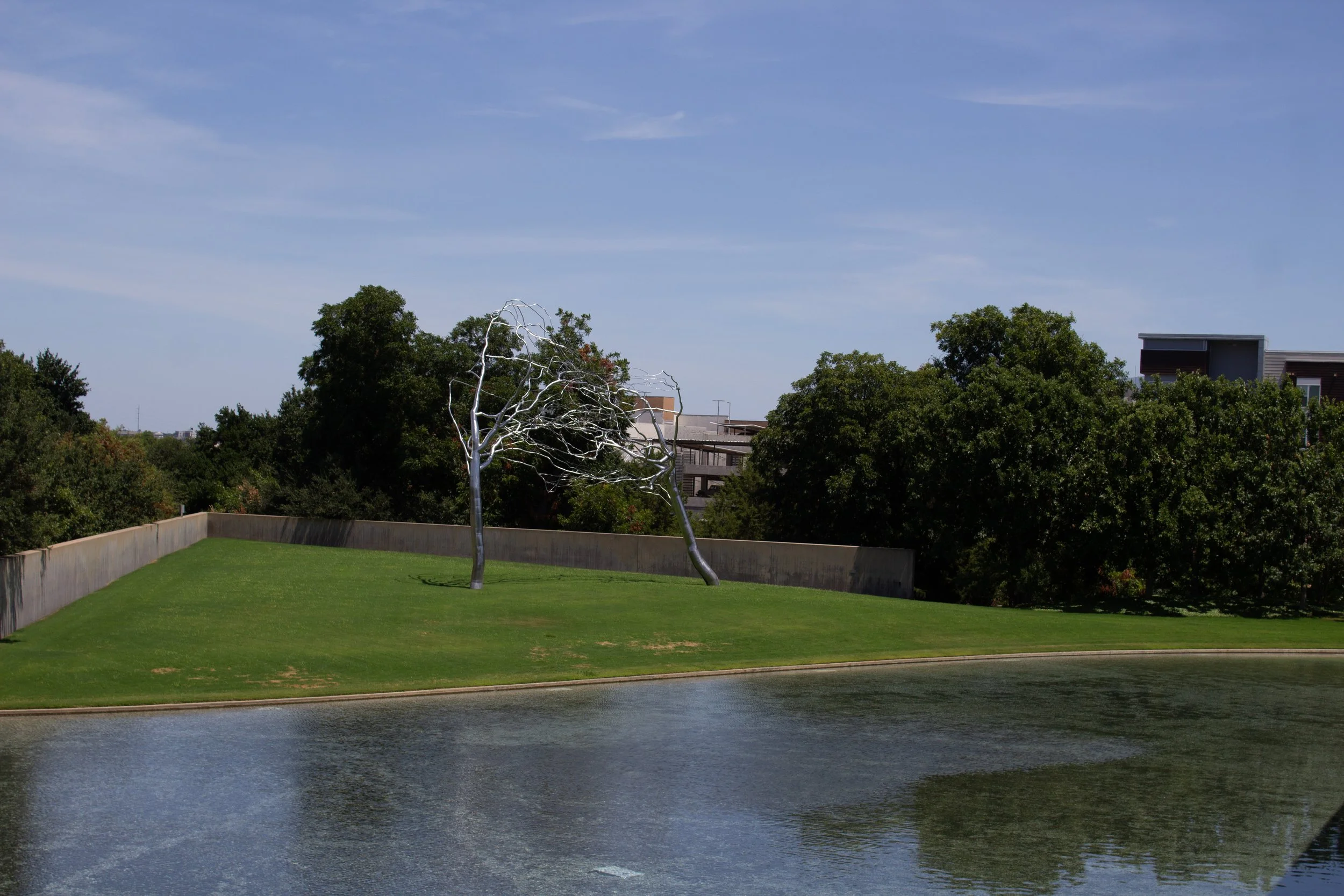 A park scene with two leafless metal trees on a grassy hill next to a water body, surrounded by green trees and urban buildings in the background under a blue sky.