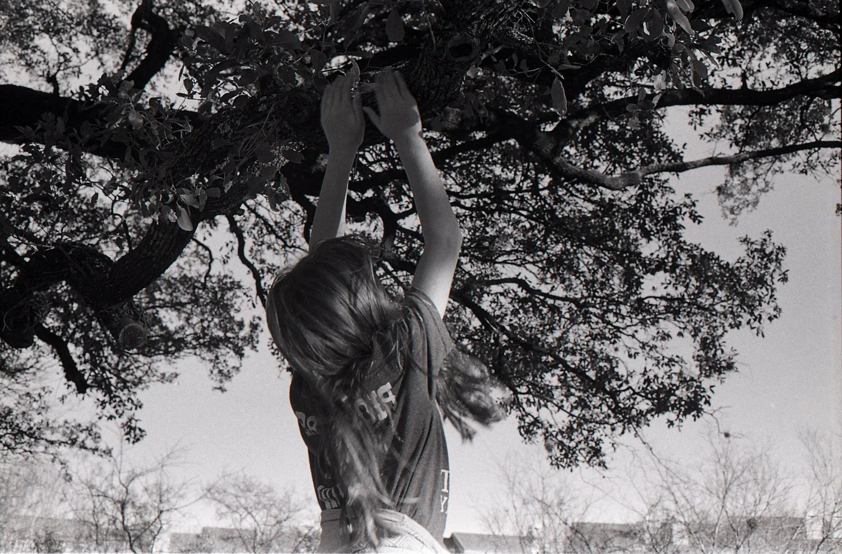 A person with long hair reaching up to pick fruit from a tree in a black-and-white photo.